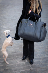 NOAH & PAW adjustable harness ensures a tailored, secure fit for pets.