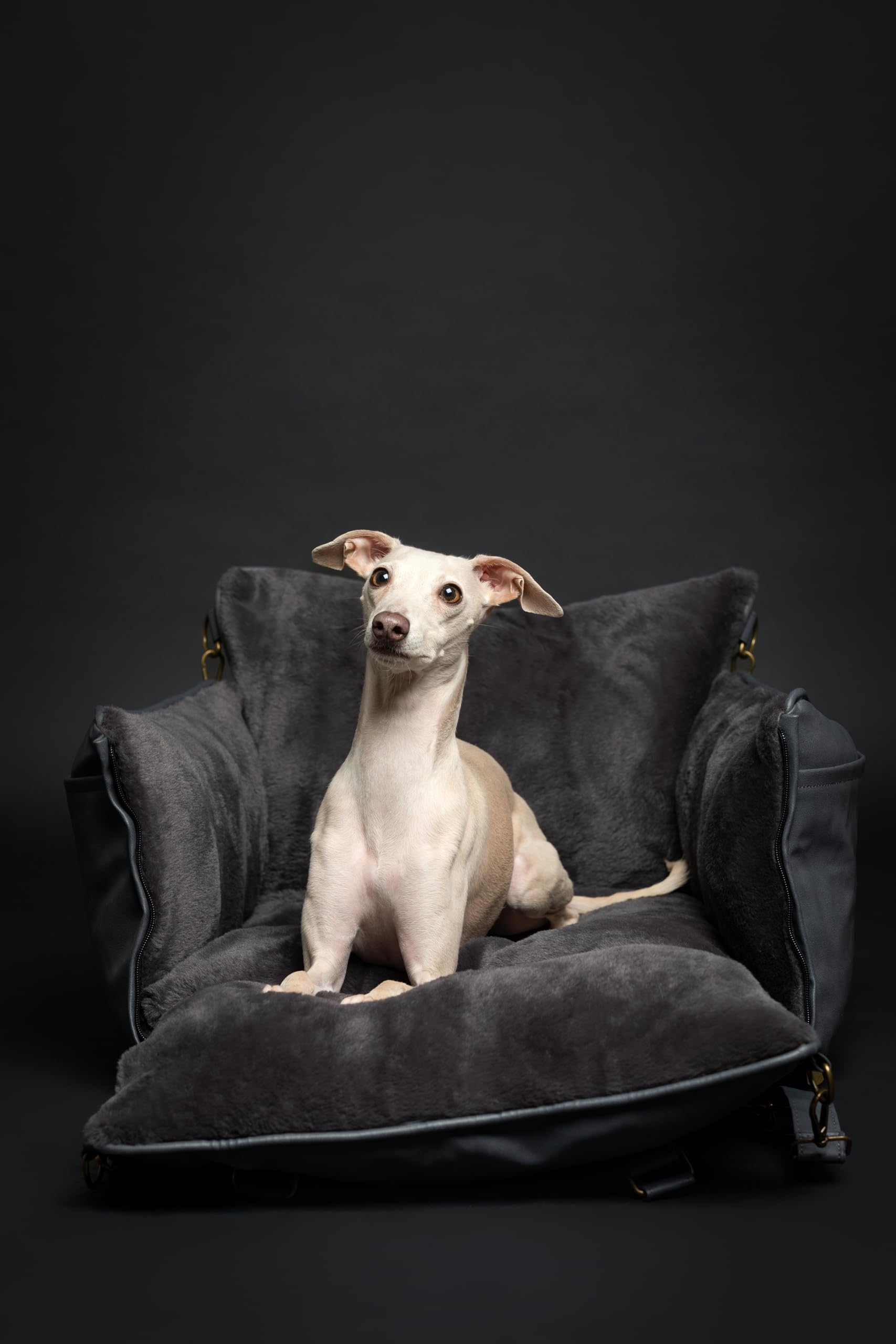 NOAH & PAW memory foam padding cushions every mile of travel.