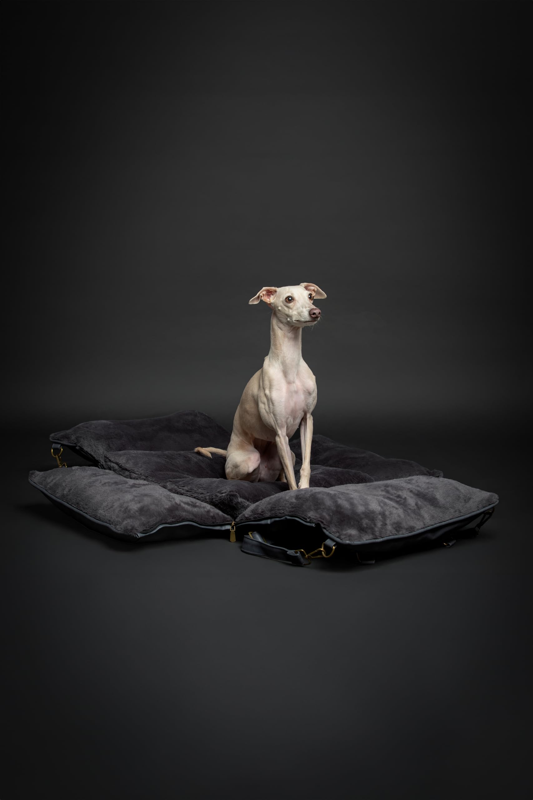 NOAH & PAW plush interior lining keeps pets warm and comfortable.