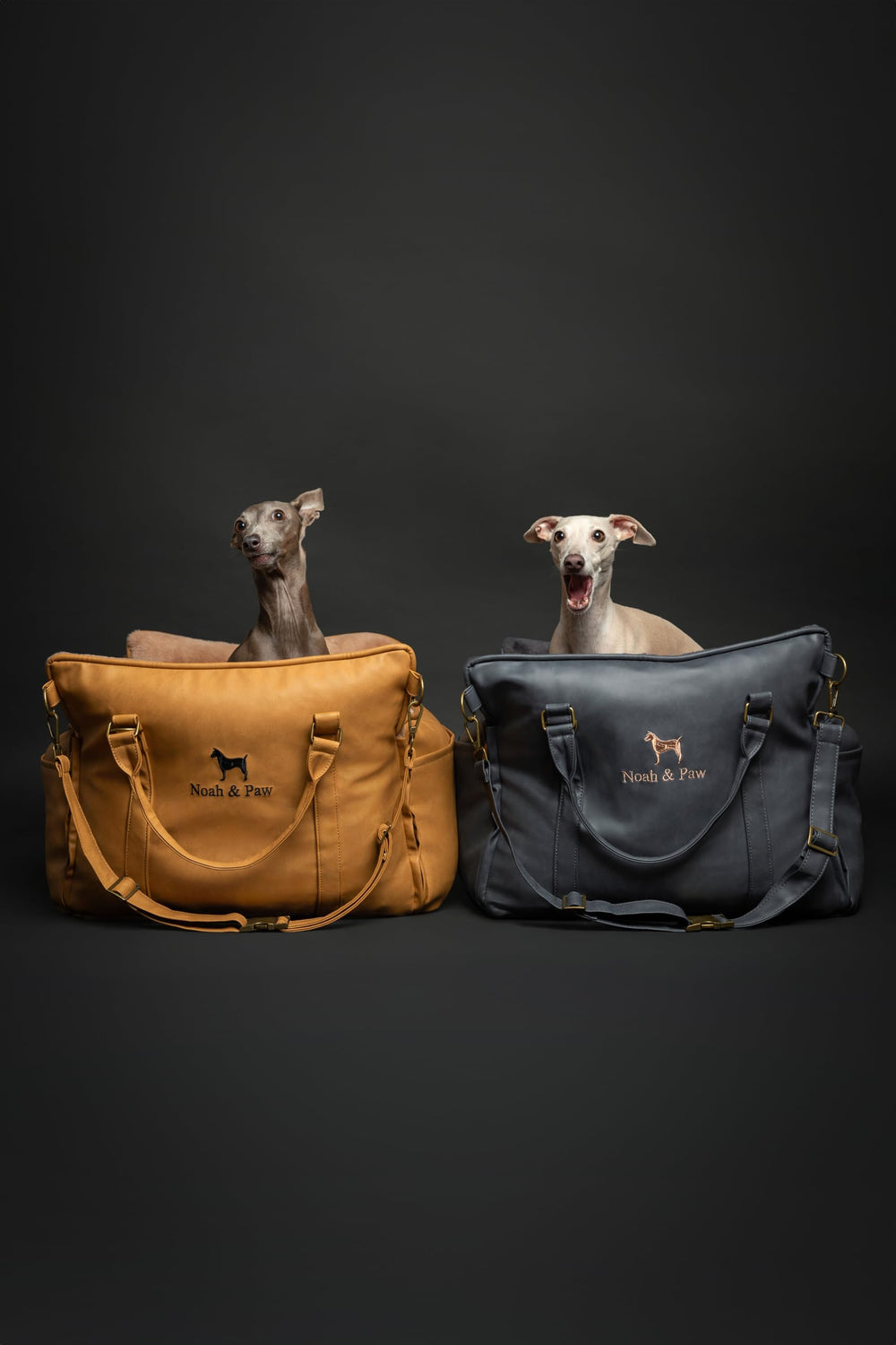 NOAH & PAW compact booster seat with handles for easy transport.