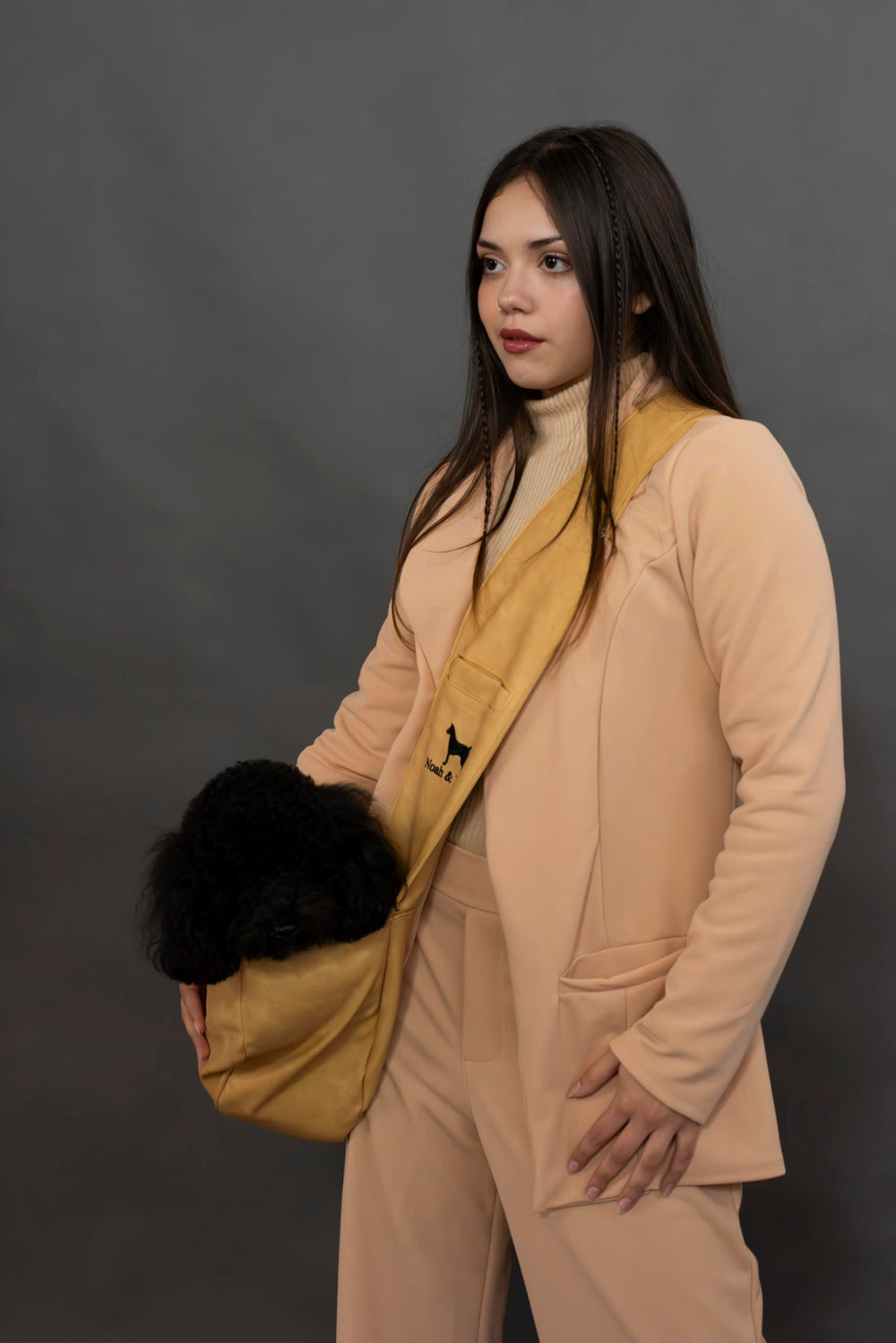 NOAH & PAW cat-dog carrier suits small pets for travel.