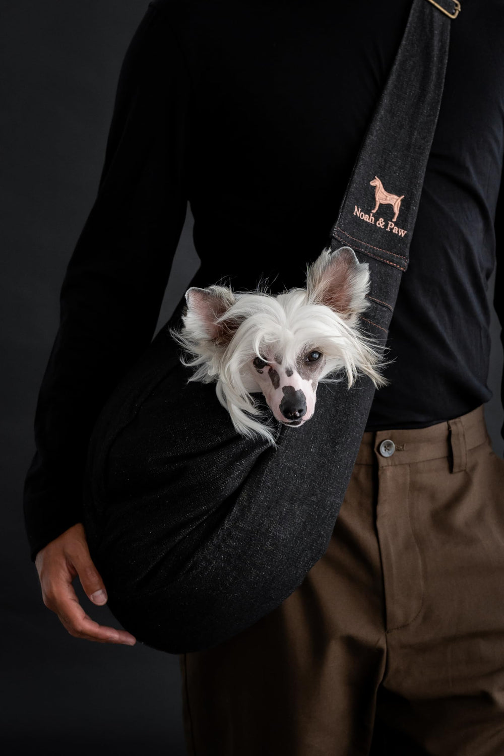 Noah & Paw cat sling compatible with small pets