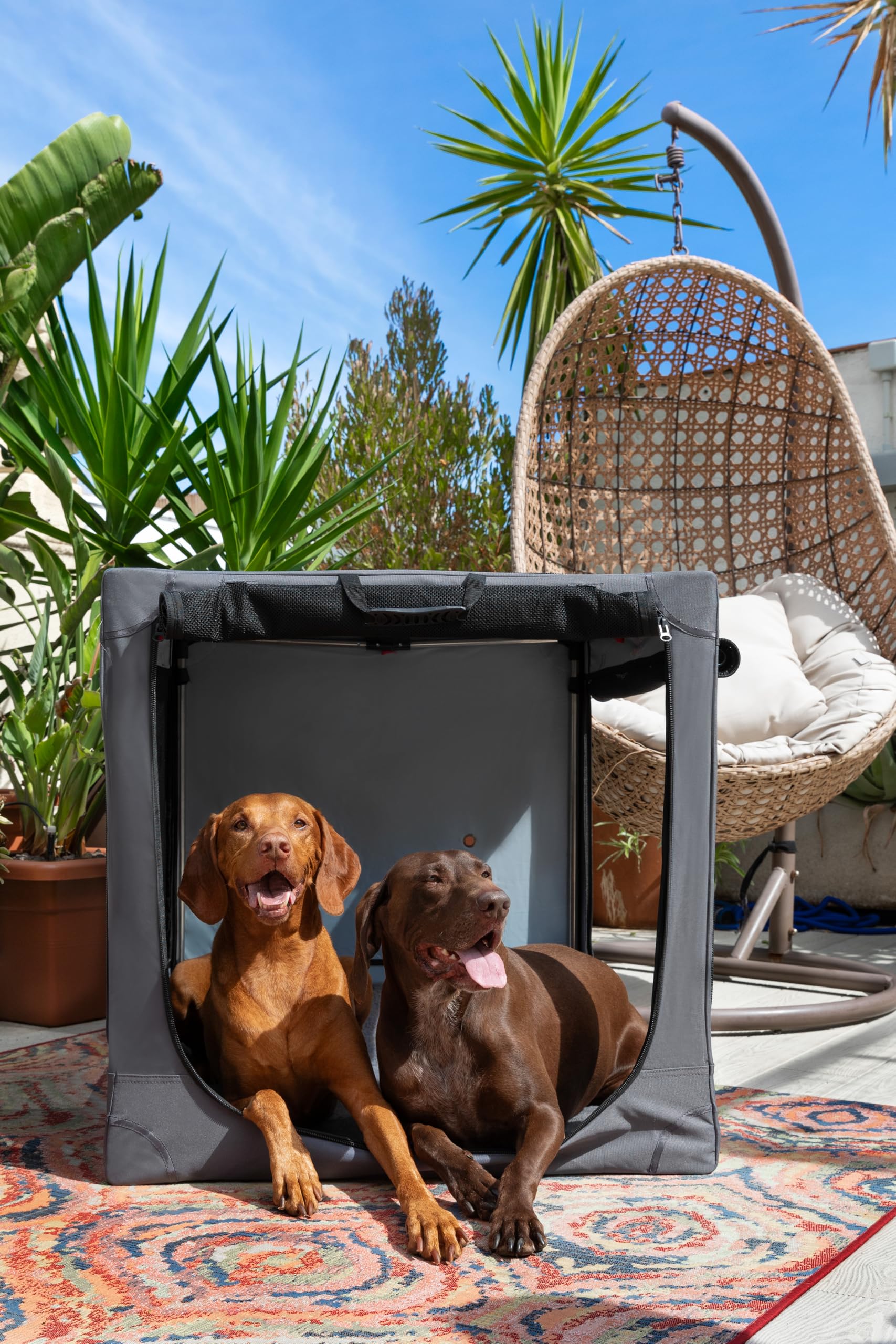 Noah & Paw crate featuring a 10mm locking zipper for secure containment.
