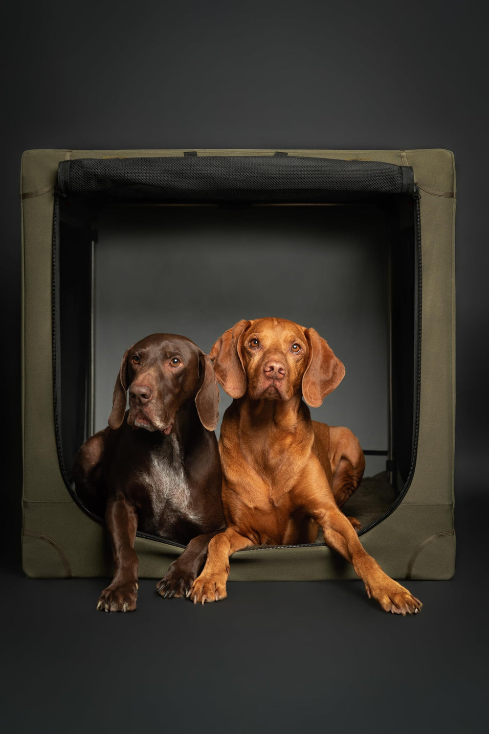 Noah & Paw mesh roll-up doors maximize airflow.