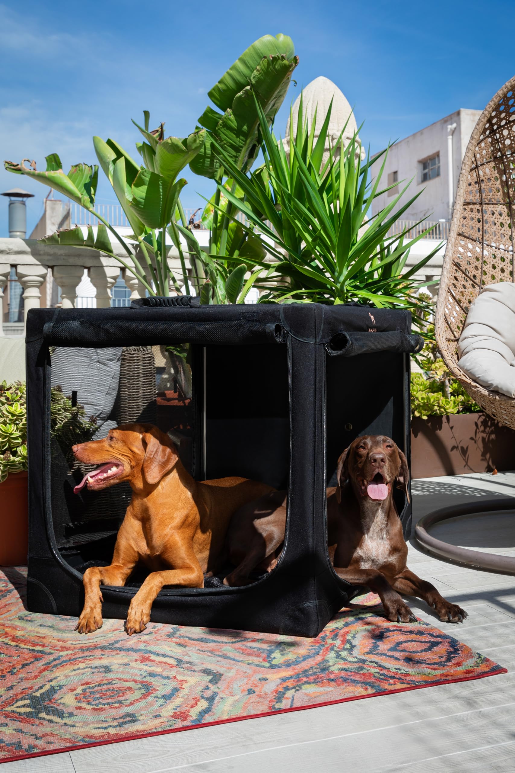 Noah & Paw crate with mesh doors for steady airflow