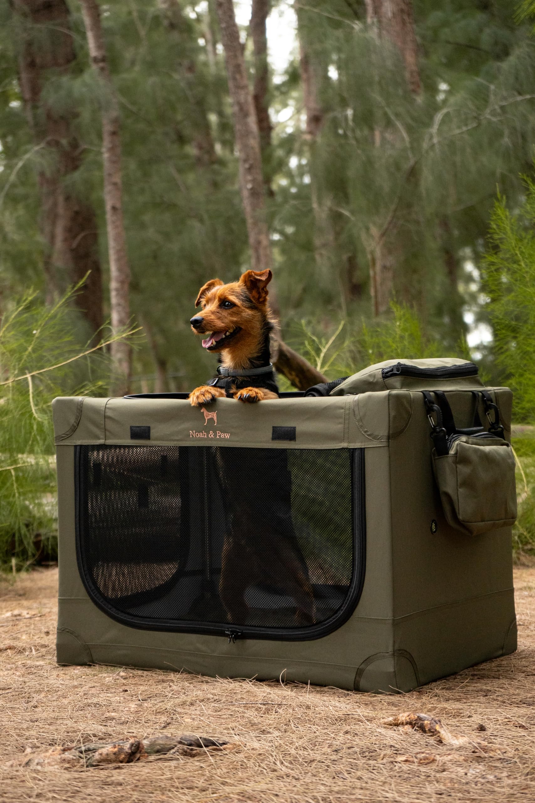 Noah & Paw included pet mat adds crate comfort.