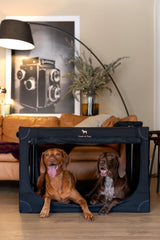 NOAH & PAW crate assembly demonstrating portable design