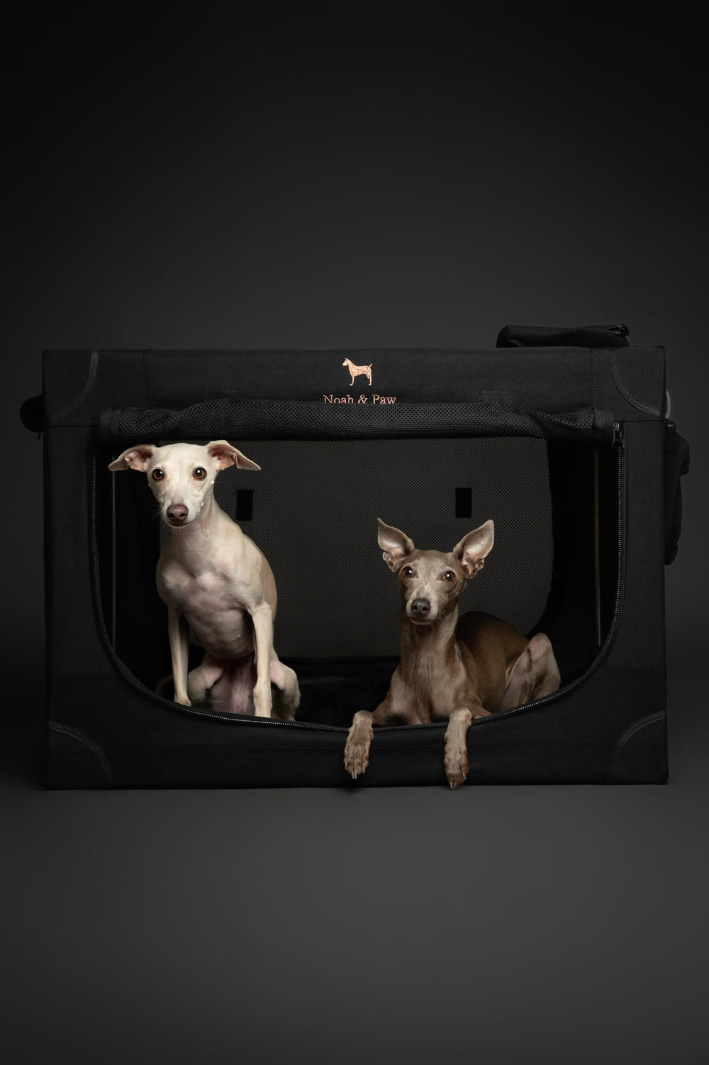 Noah and Paw car ready crate ideal for safe travel and pet comfort on the road.