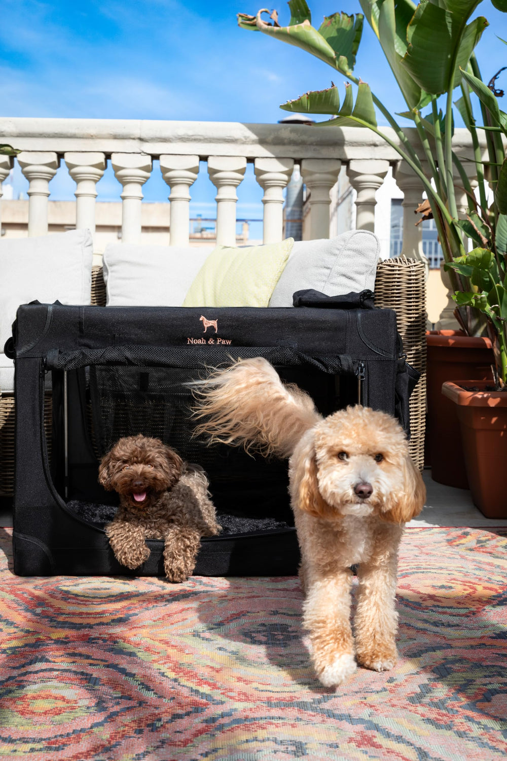 Noah and Paw crate mesh doors showcase airflow for pet comfort.