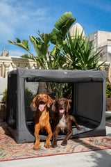 Noah & Paw folding mechanism demonstrated for quick setup and storage.
