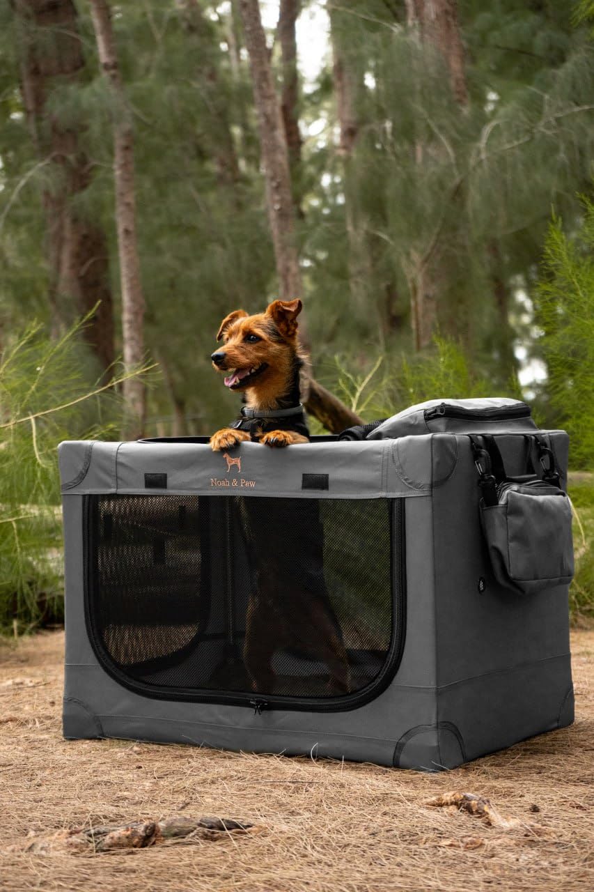 Noah & Paw crate with a handbag-style carrying option for easy transport.