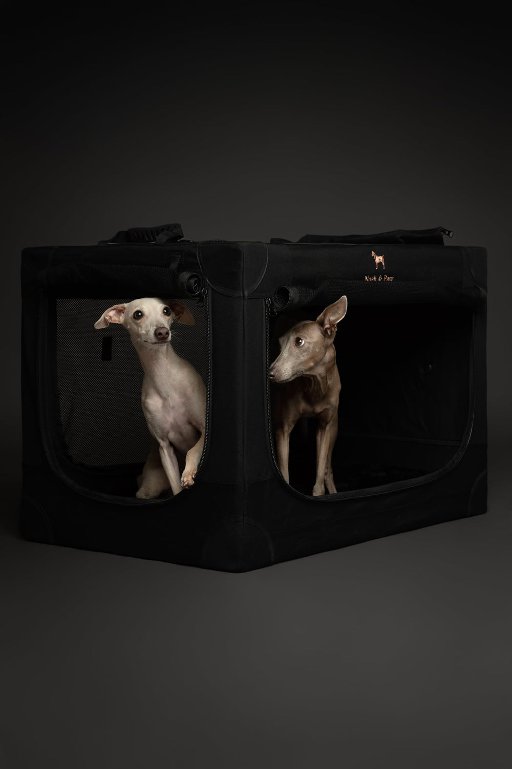 Noah and Paw built in storage pockets keep essentials within reach.