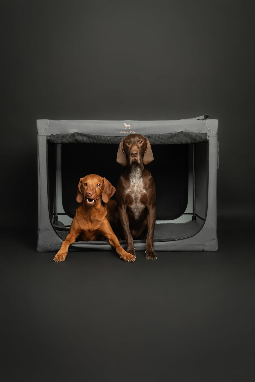 Washable cover on the Noah & Paw crate for simple cleaning after trips.