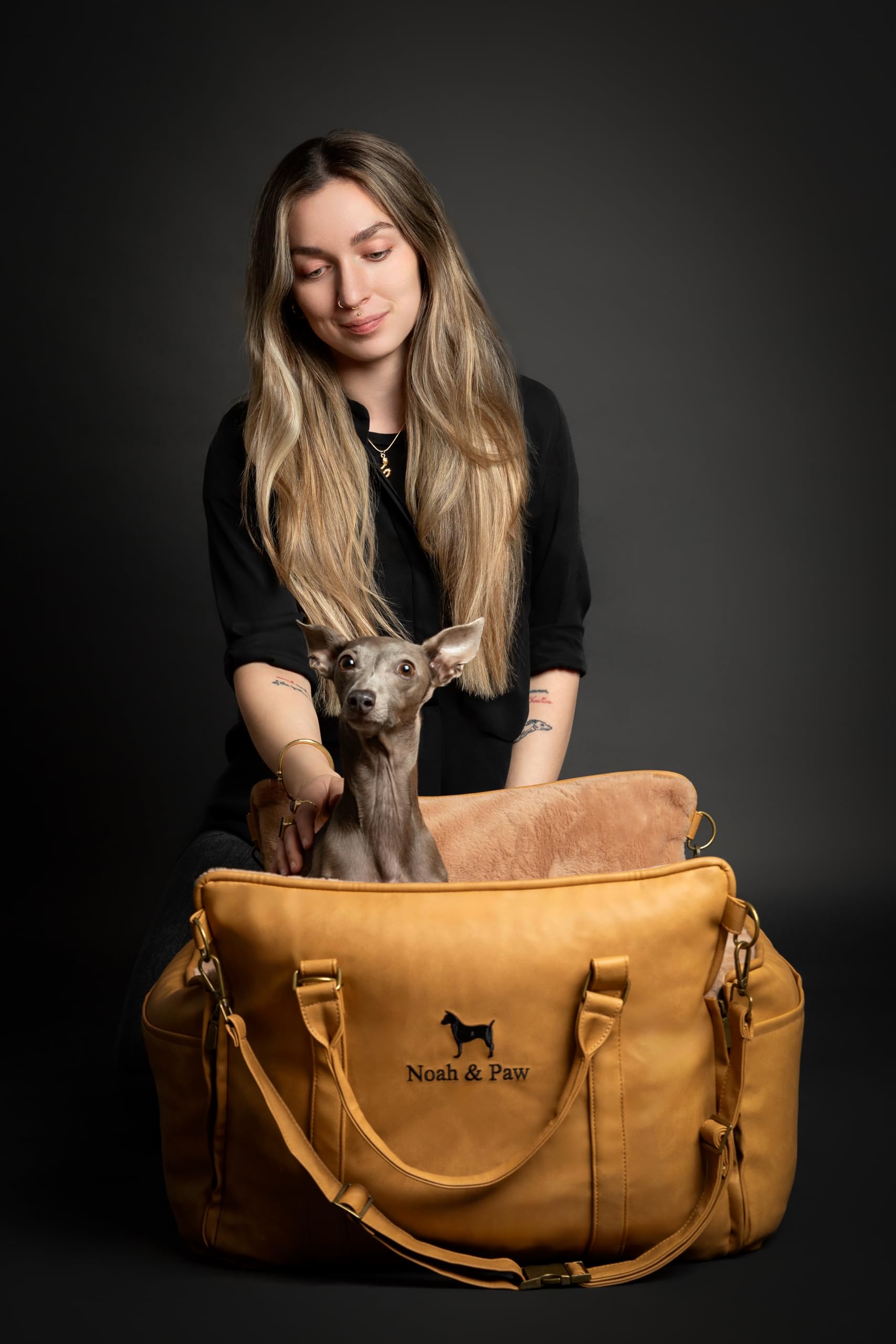 NOAH & PAW convertible design doubles as bed for downtime.