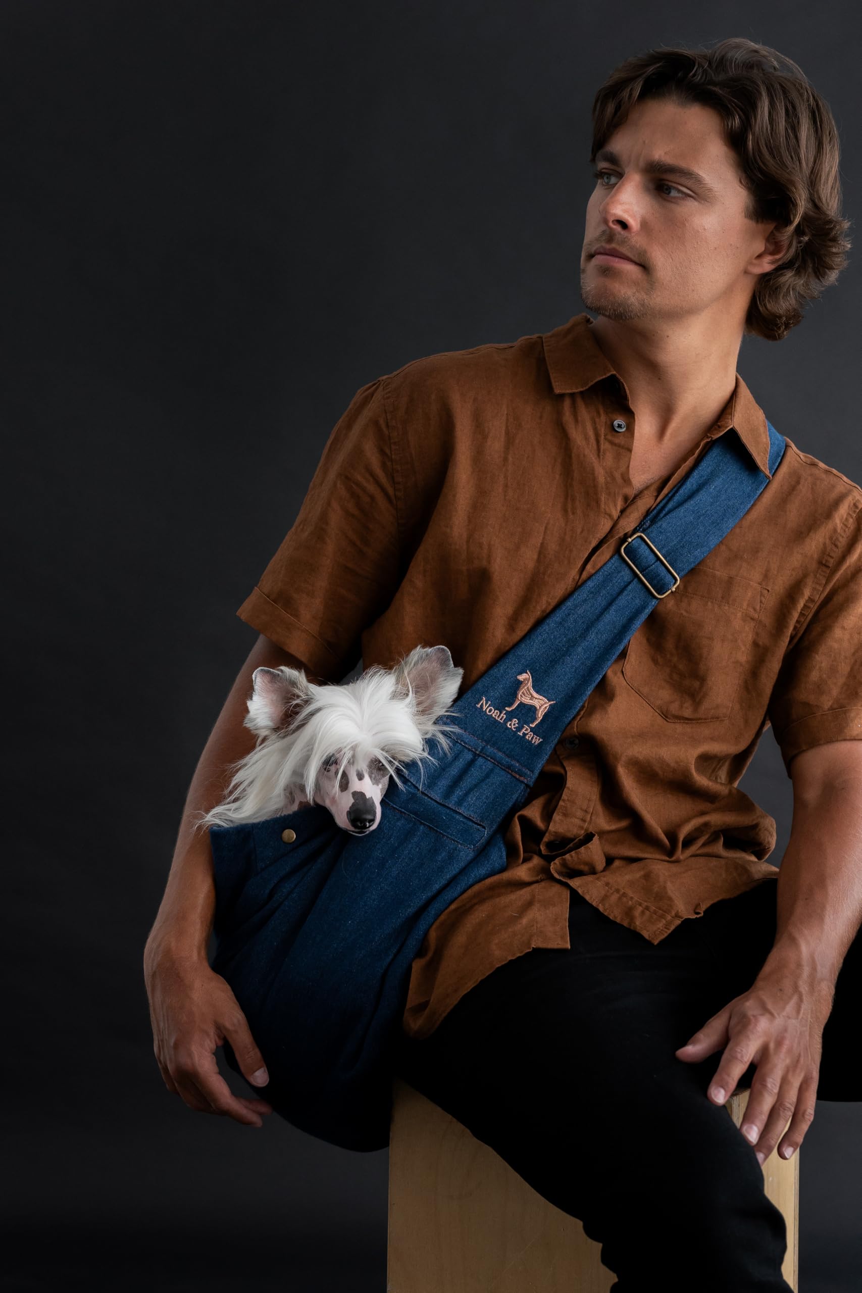 NOAH & PAW denim sling secure buckle ensuring pet safety during strolls