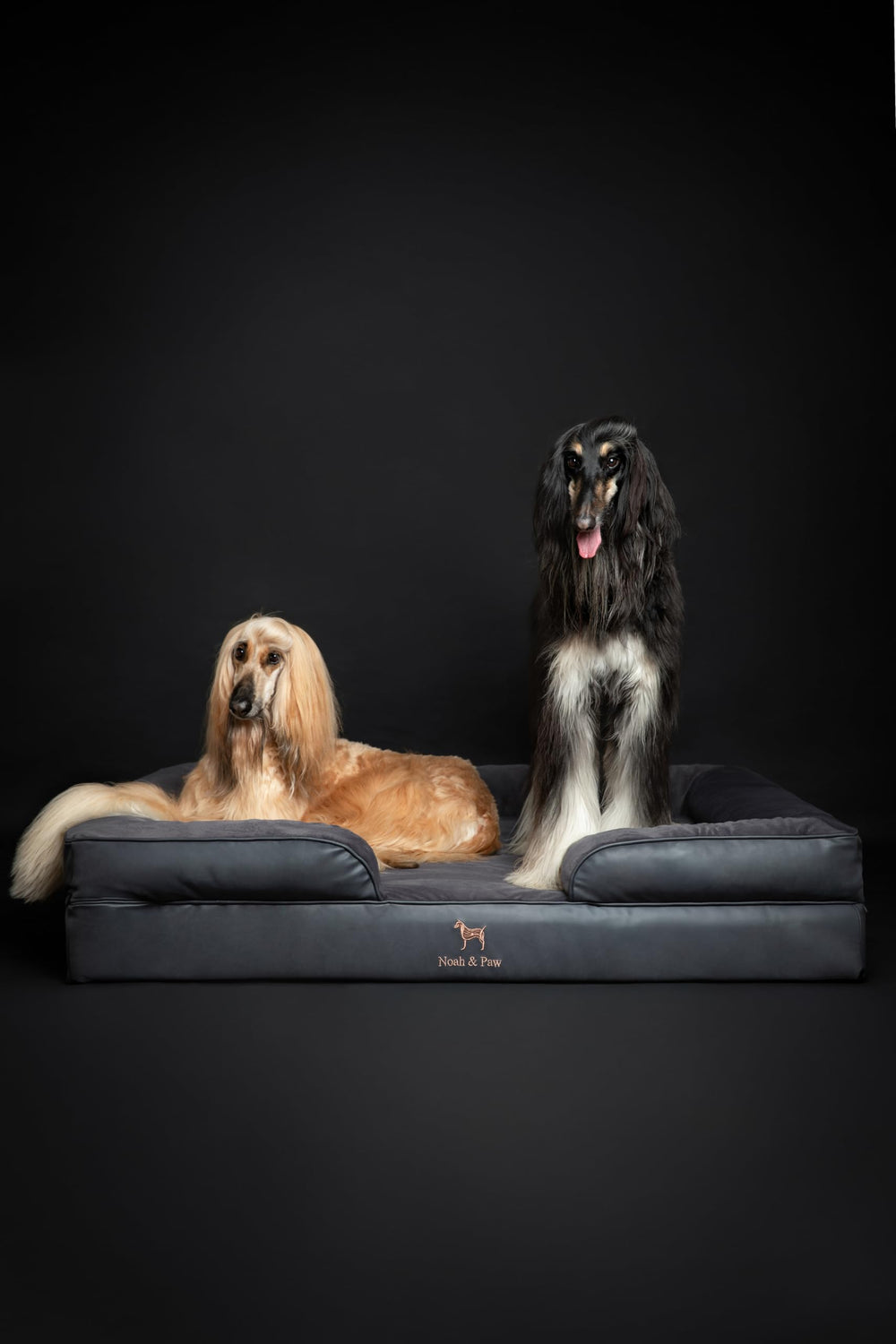 NOAH & PAW dog relaxing atop the bed in a cozy setting.