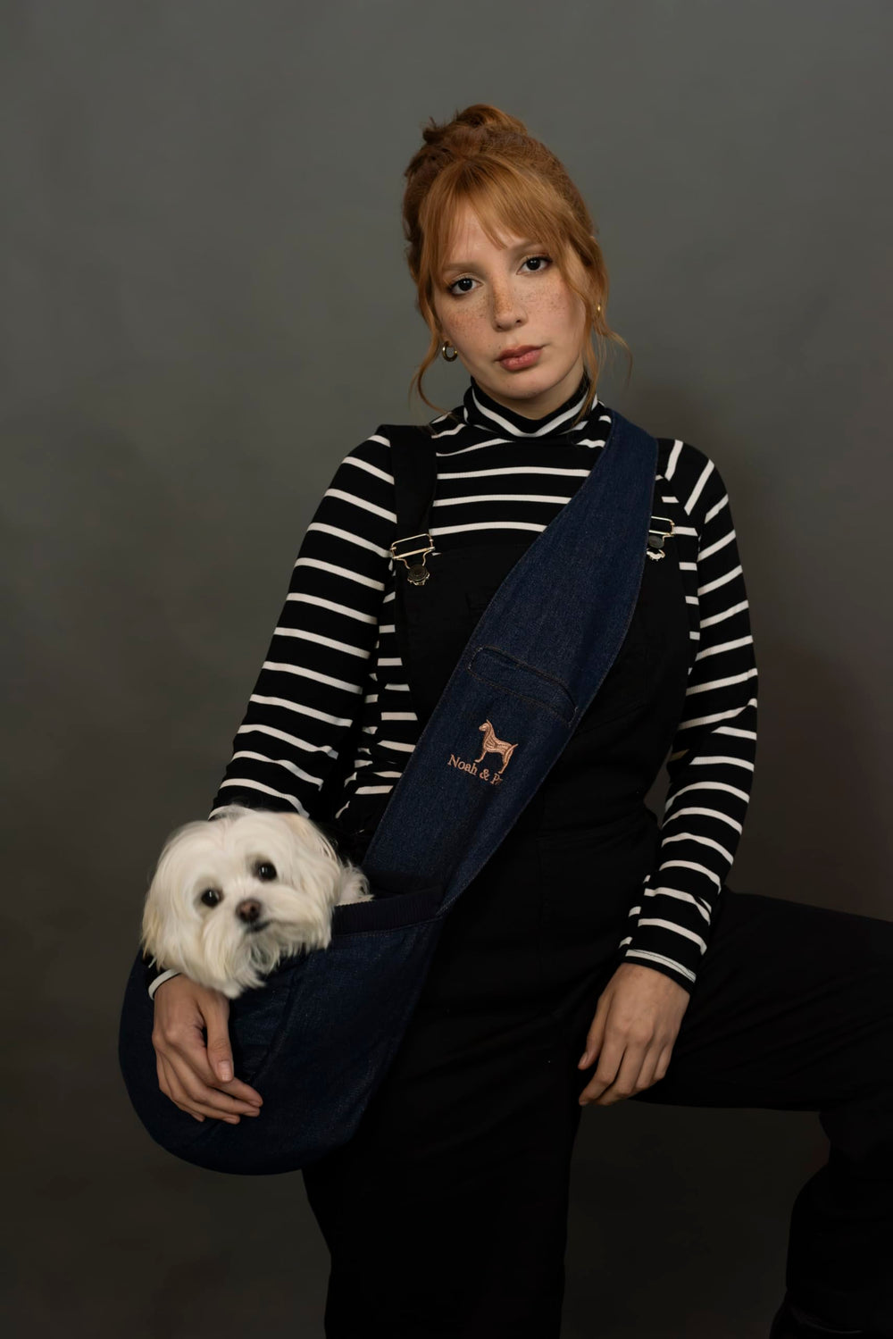NOAH & PAW sling supports cats and dogs for versatile use.
