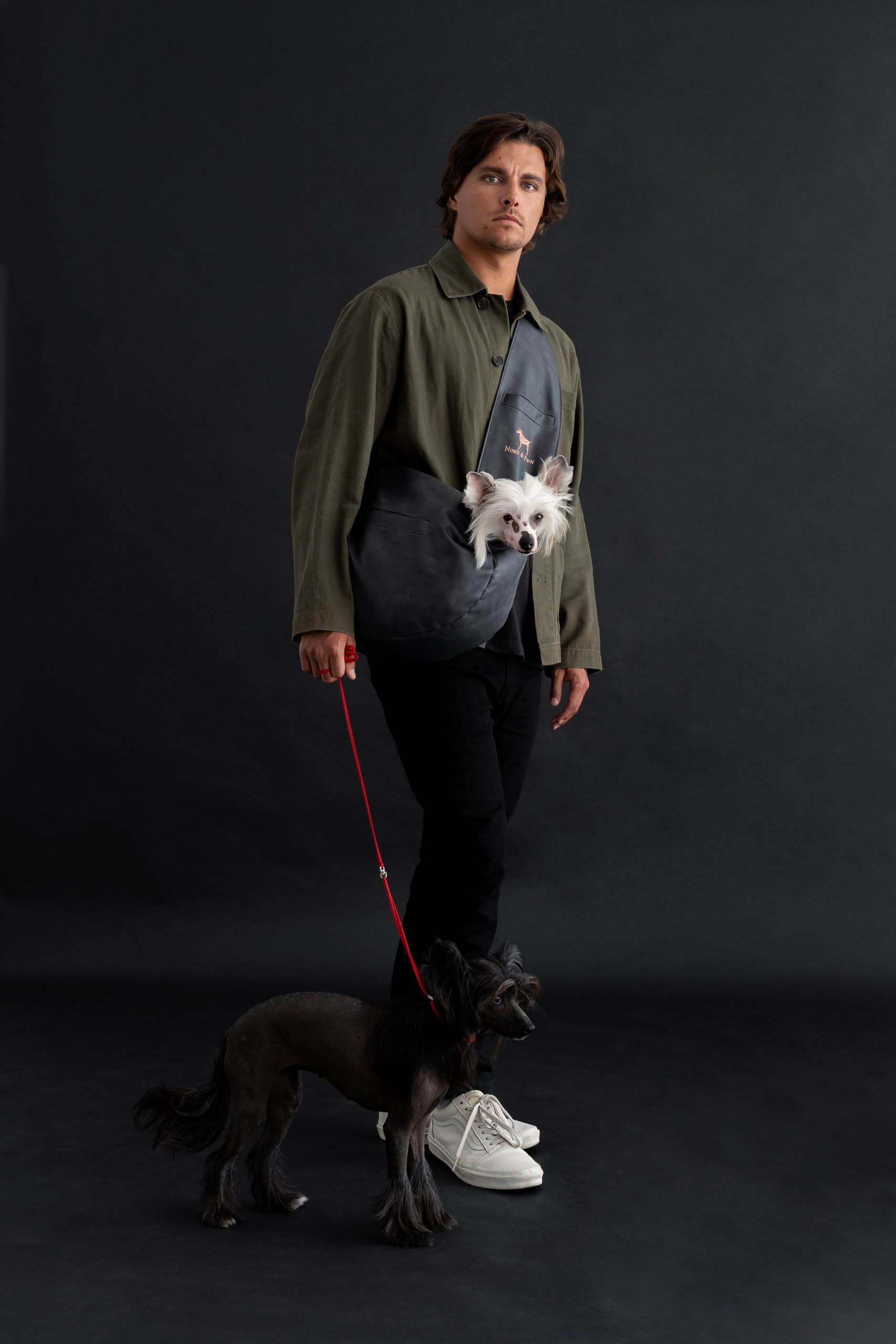 Noah & Paw is designed for walks, travel, and home use with comfort.
