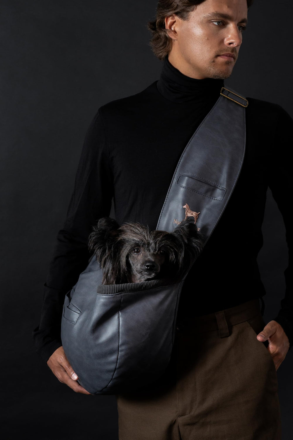 Noah & Paw used during walks for hands-free convenience.