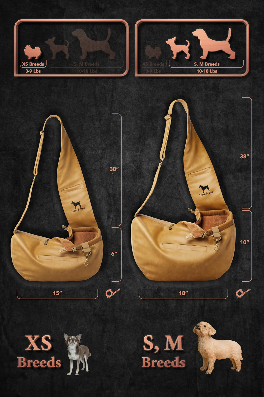 Noah & Paw safety-features clip close-up demonstrates secure three-layer protection.