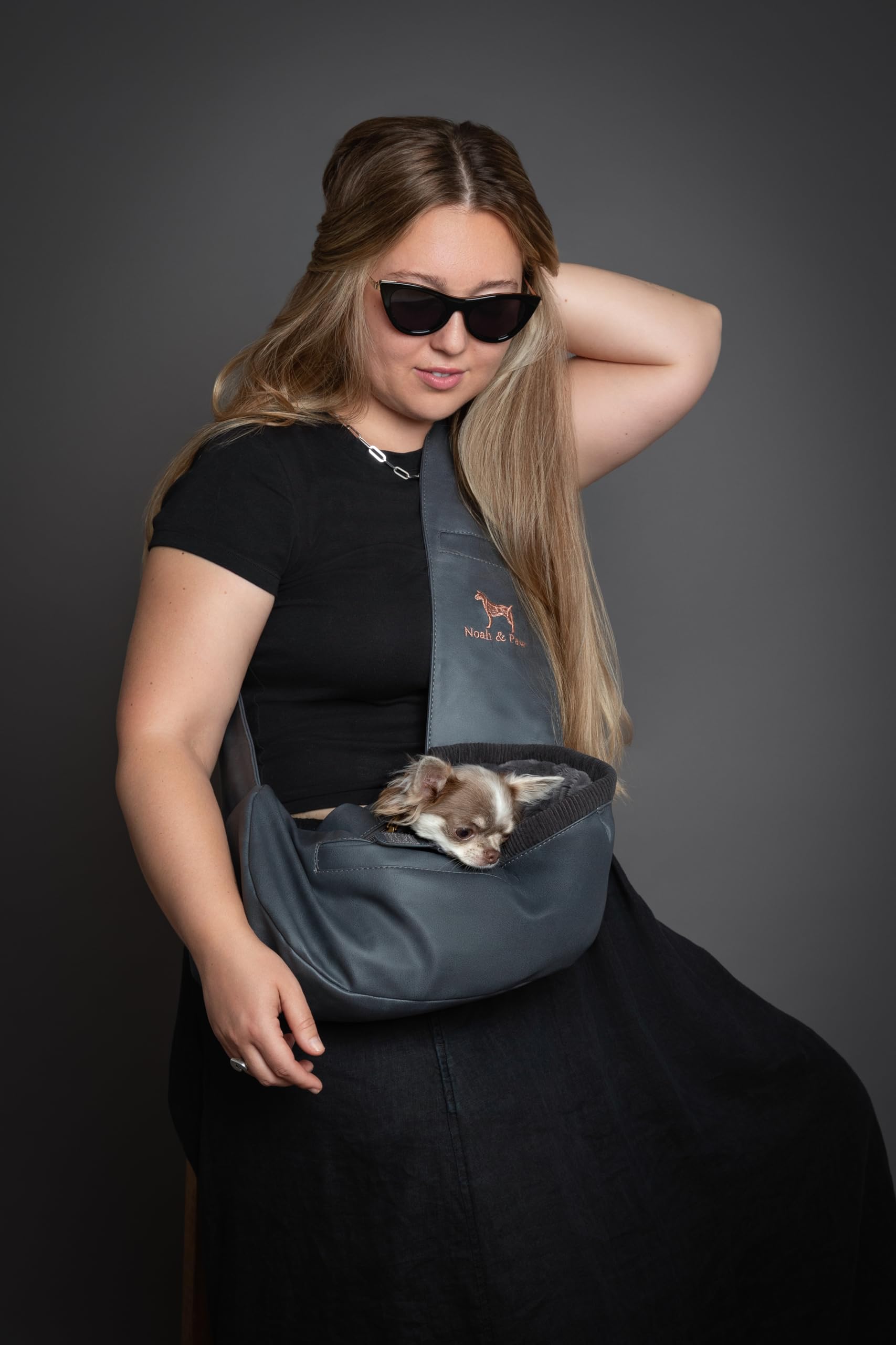 Noah & Paw dog sling safety features highlight three-layer protection while carrying.