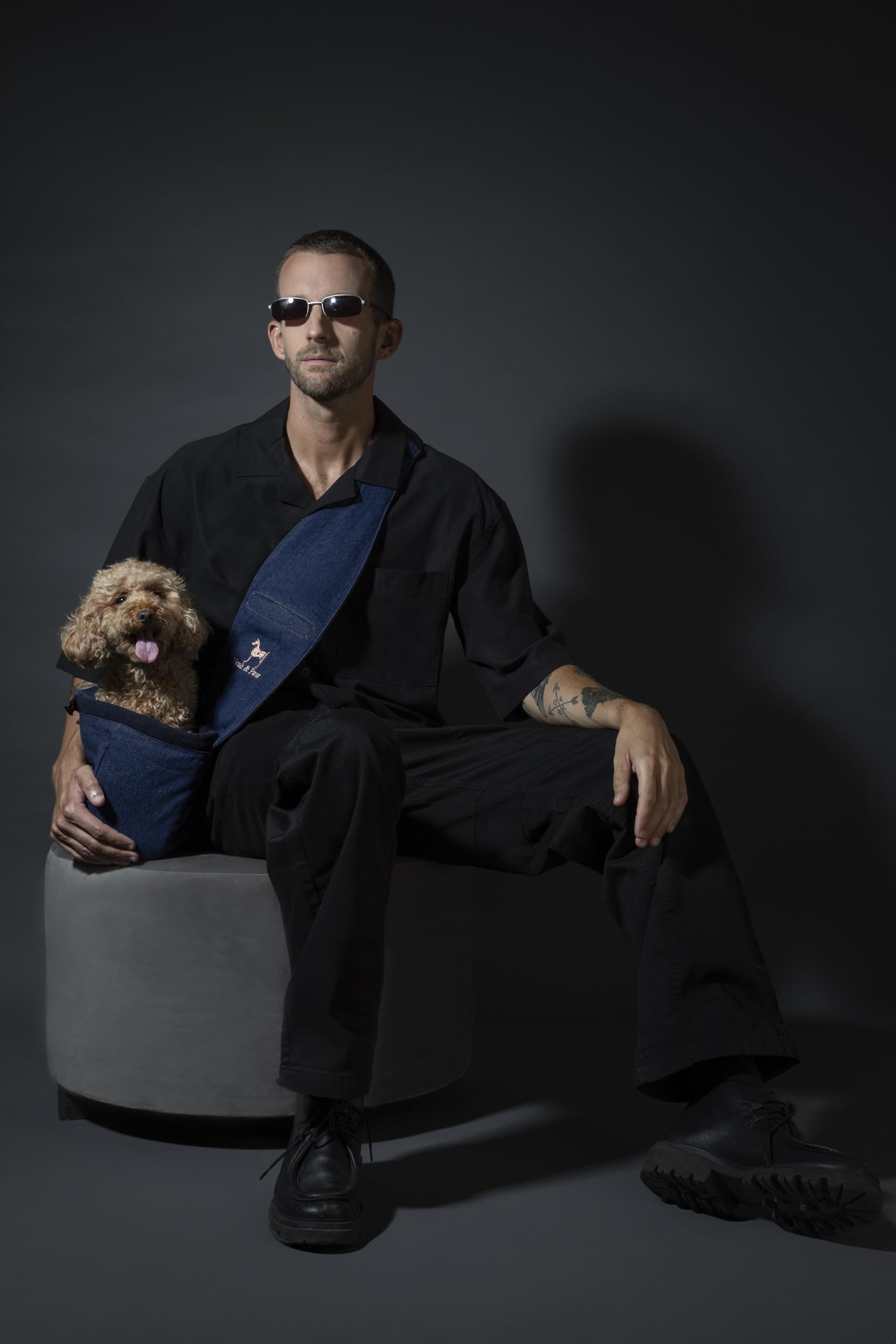 NOAH & PAW dog sling secure clip demonstrates 3x safety during outings.