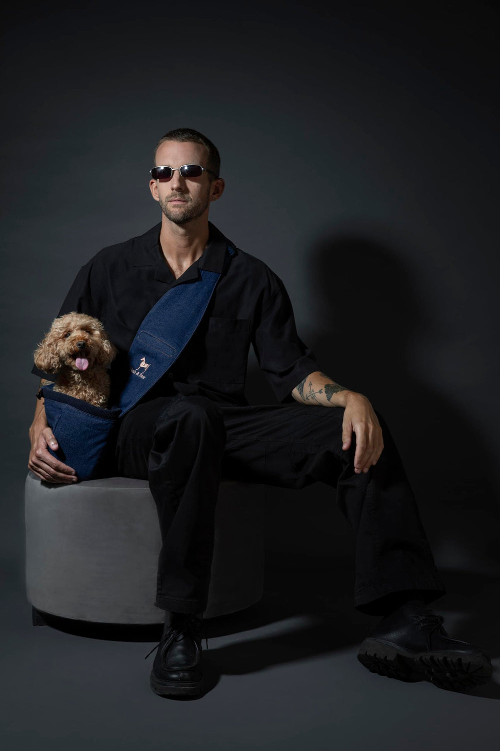 NOAH & PAW dog sling secure clip demonstrates 3x safety during outings.