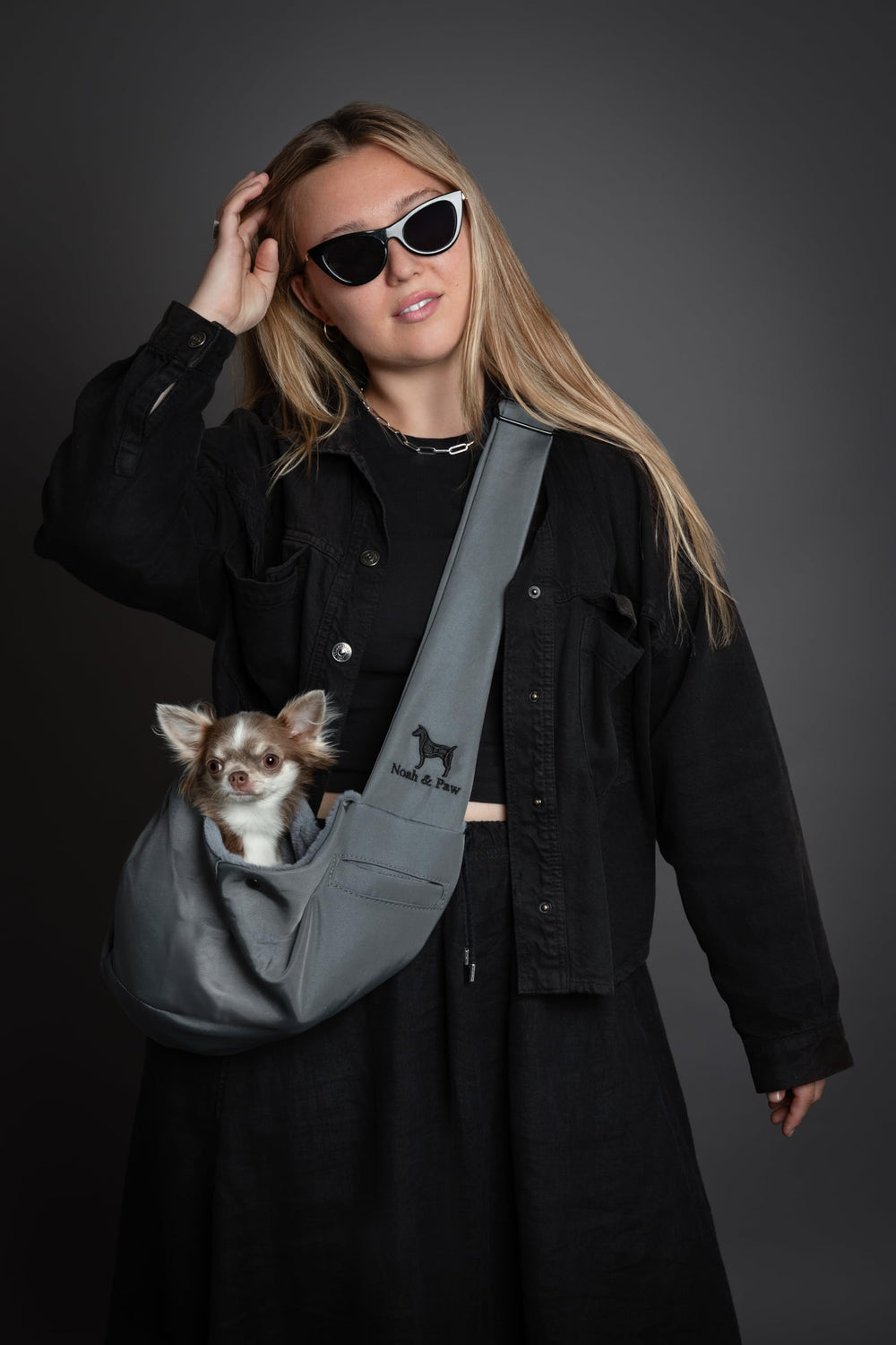 Compact sling ideal for small dogs weighing 3-10 pounds.