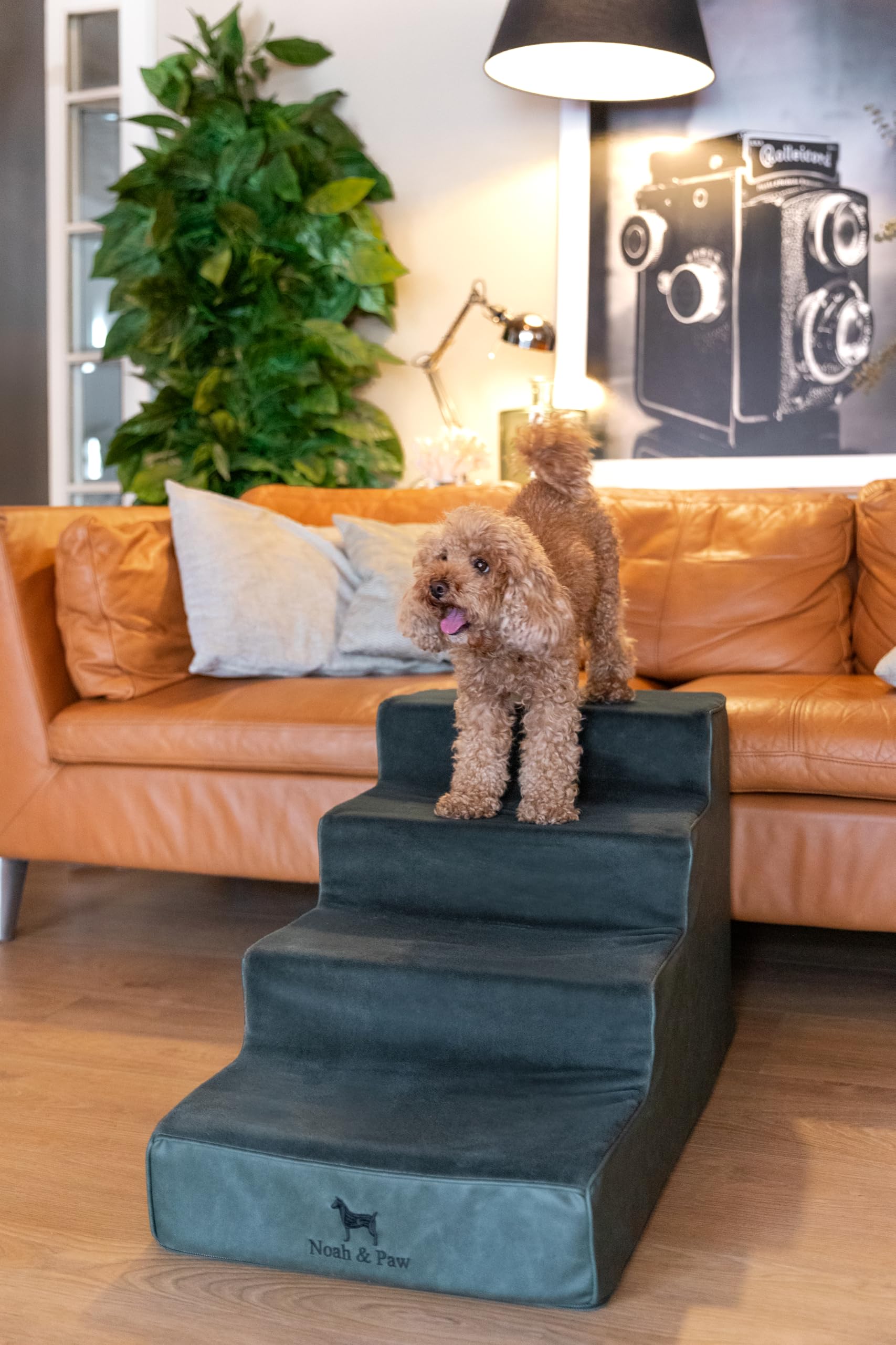 Noah & Paw 17-inch extra-wide stairs offering stable support for large pets.