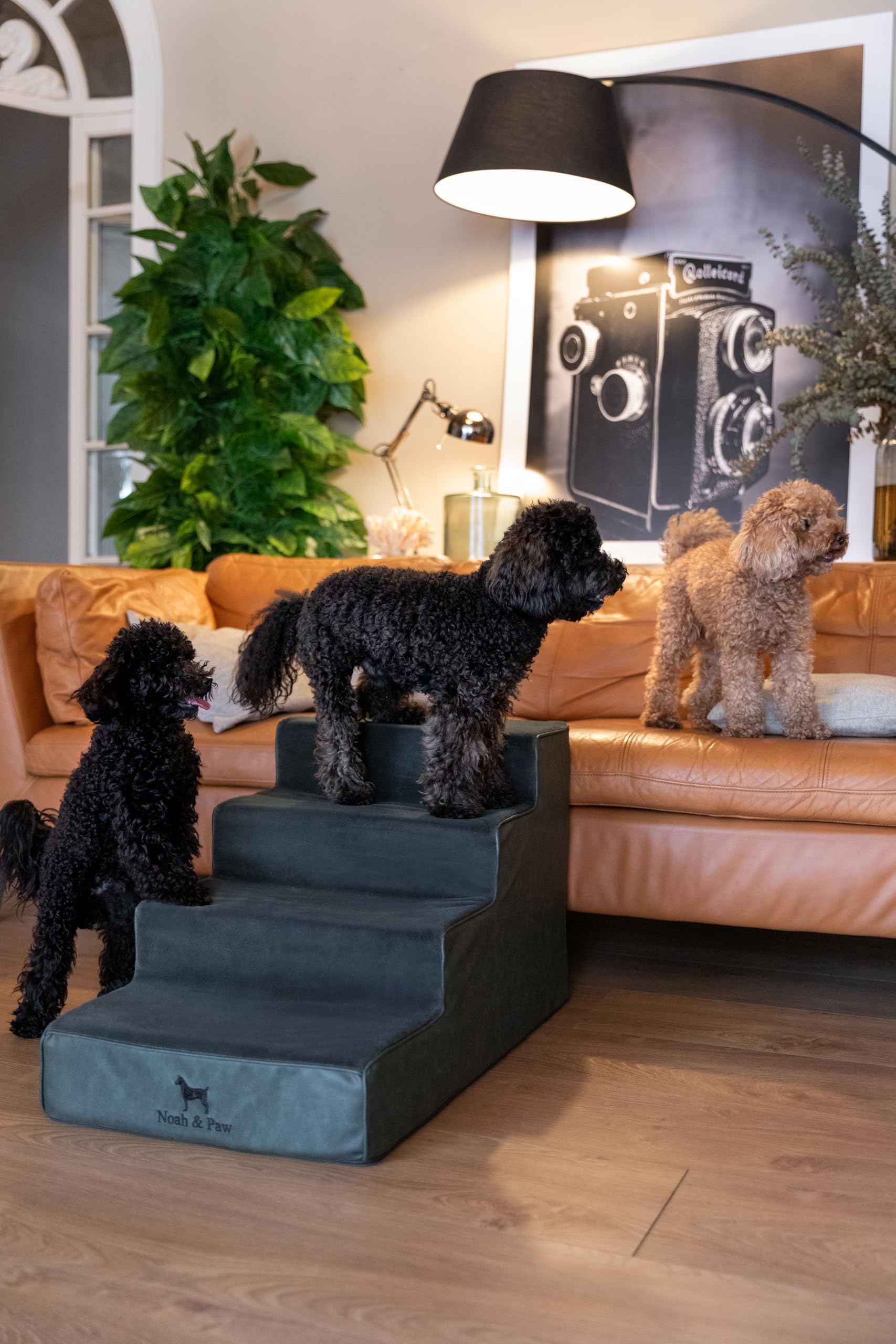 Noah & Paw 35-density foam core provides stable, comfortable climbs for pets.