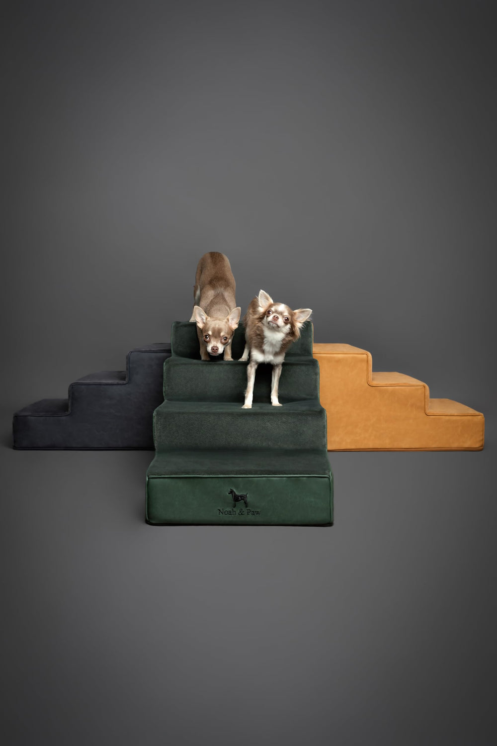 Noah & Paw stairs demonstrated on a couch for easy access.