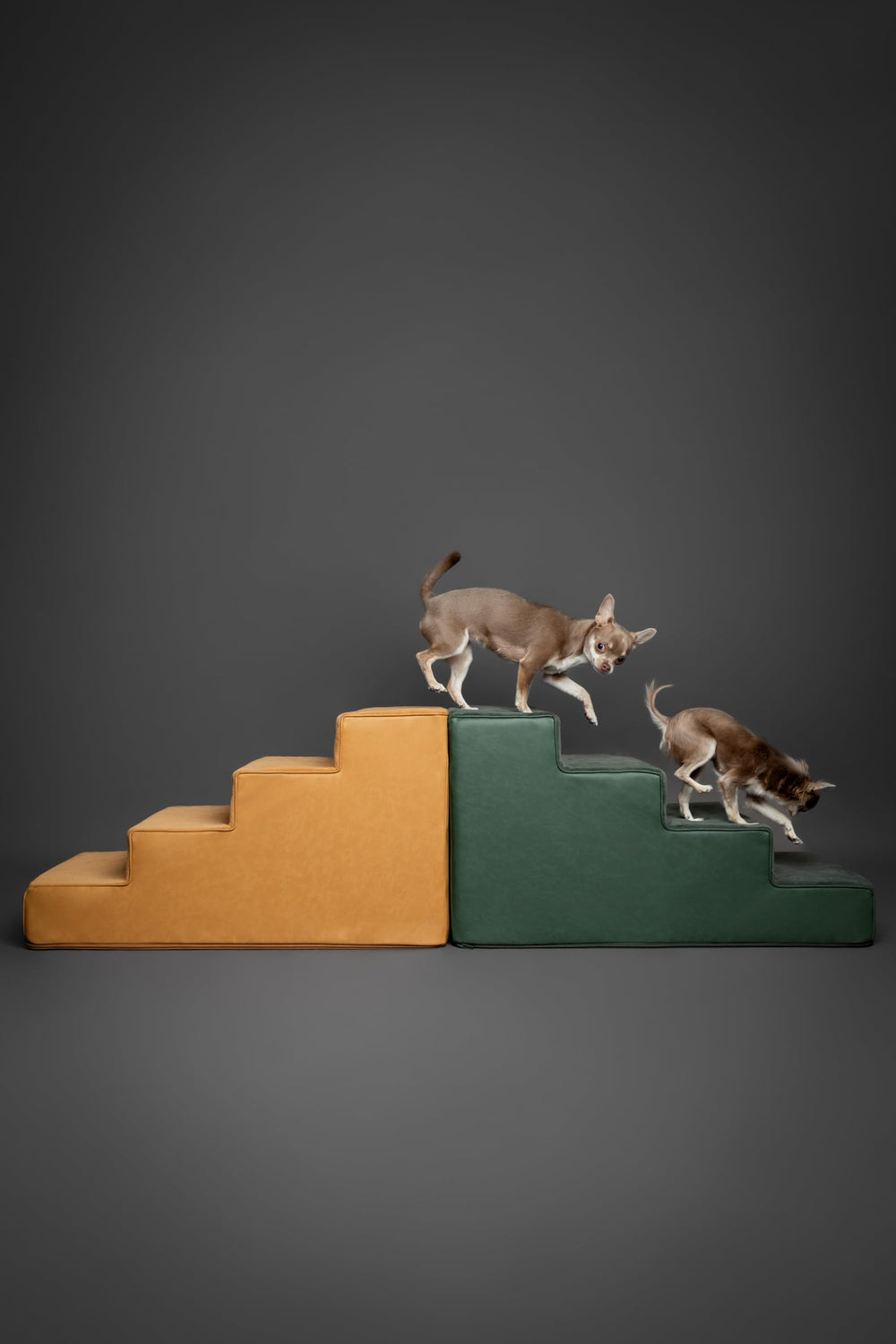 Noah & Paw stairs designed for high beds and safe ascent.