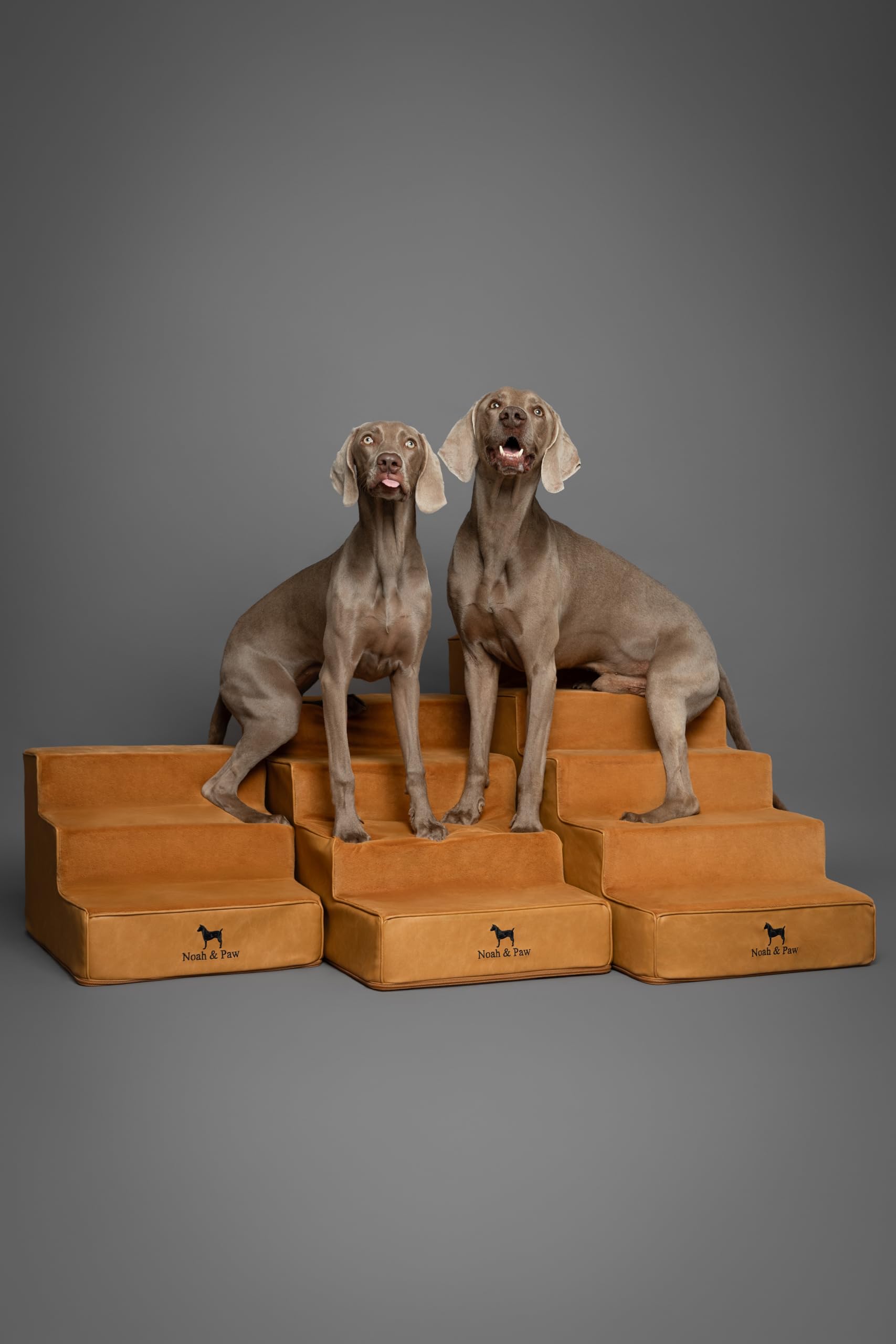 NOAH & PAW high-precision 20-inch width steps support pets climbing.