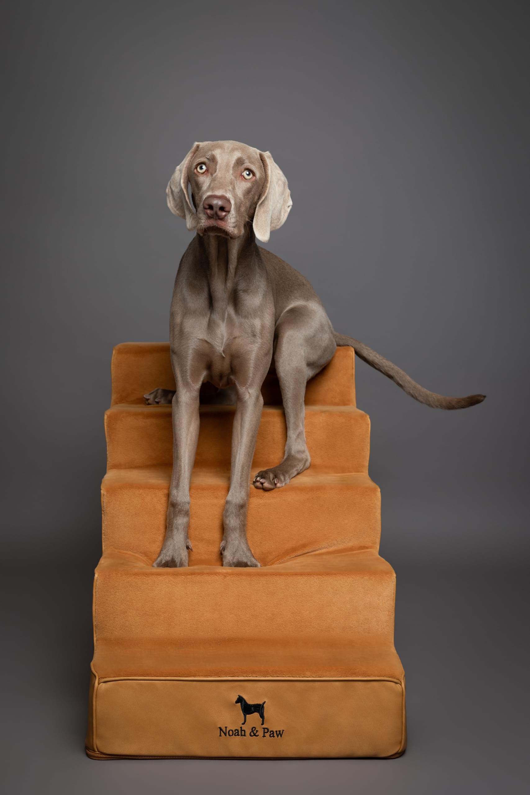 NOAH & PAW living-room setup with leather-styled stairs blends decor.