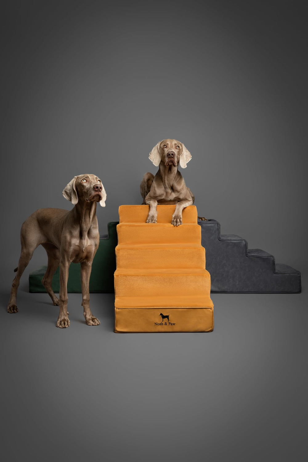 NOAH & PAW easy-clean pet stairs designed for quick maintenance.