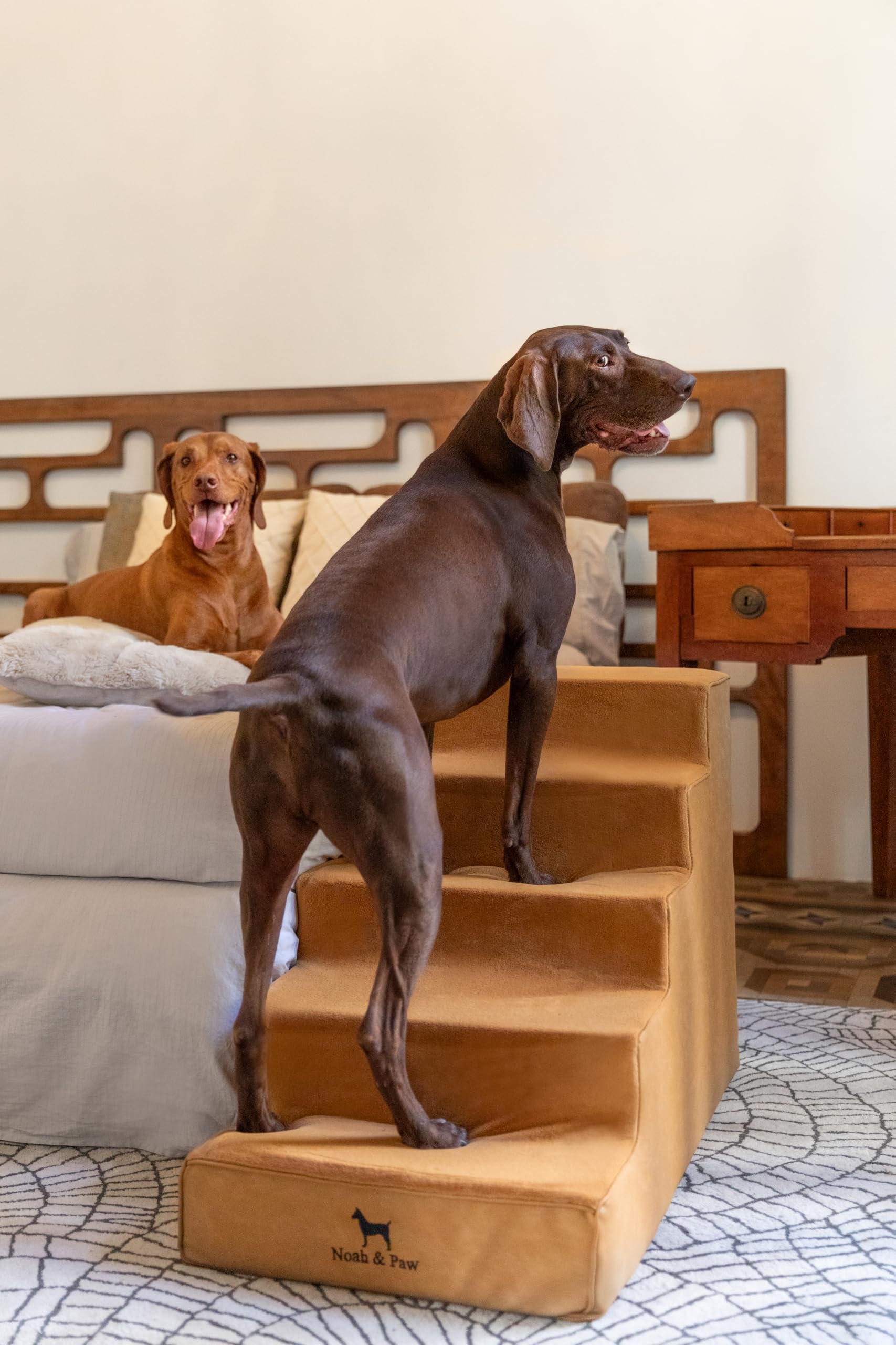 NOAH & PAW removable cover combines ease of cleaning and hygiene.