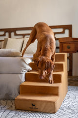 NOAH & PAW dog stairs side view highlights extra-wide 20-inch width for large breeds.