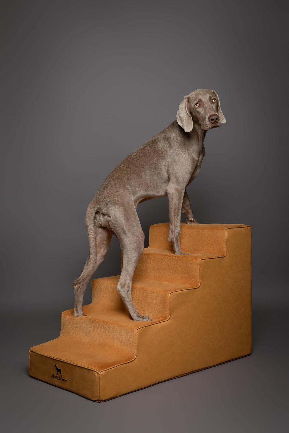 NOAH & PAW zipper-access cover for quick wash and re-zipping.