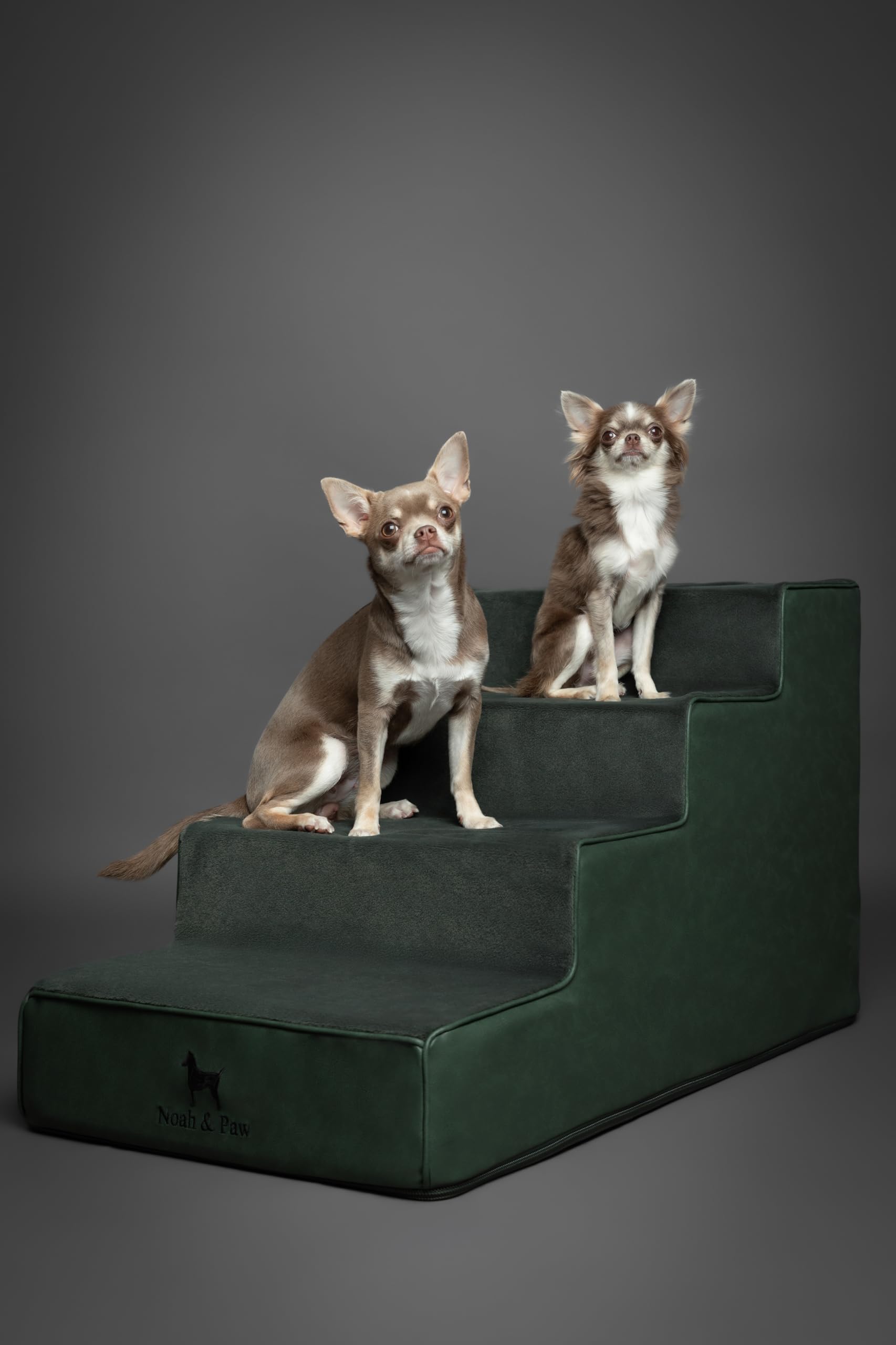 Noah & Paw single-piece construction enables quick, no-fuss setup.