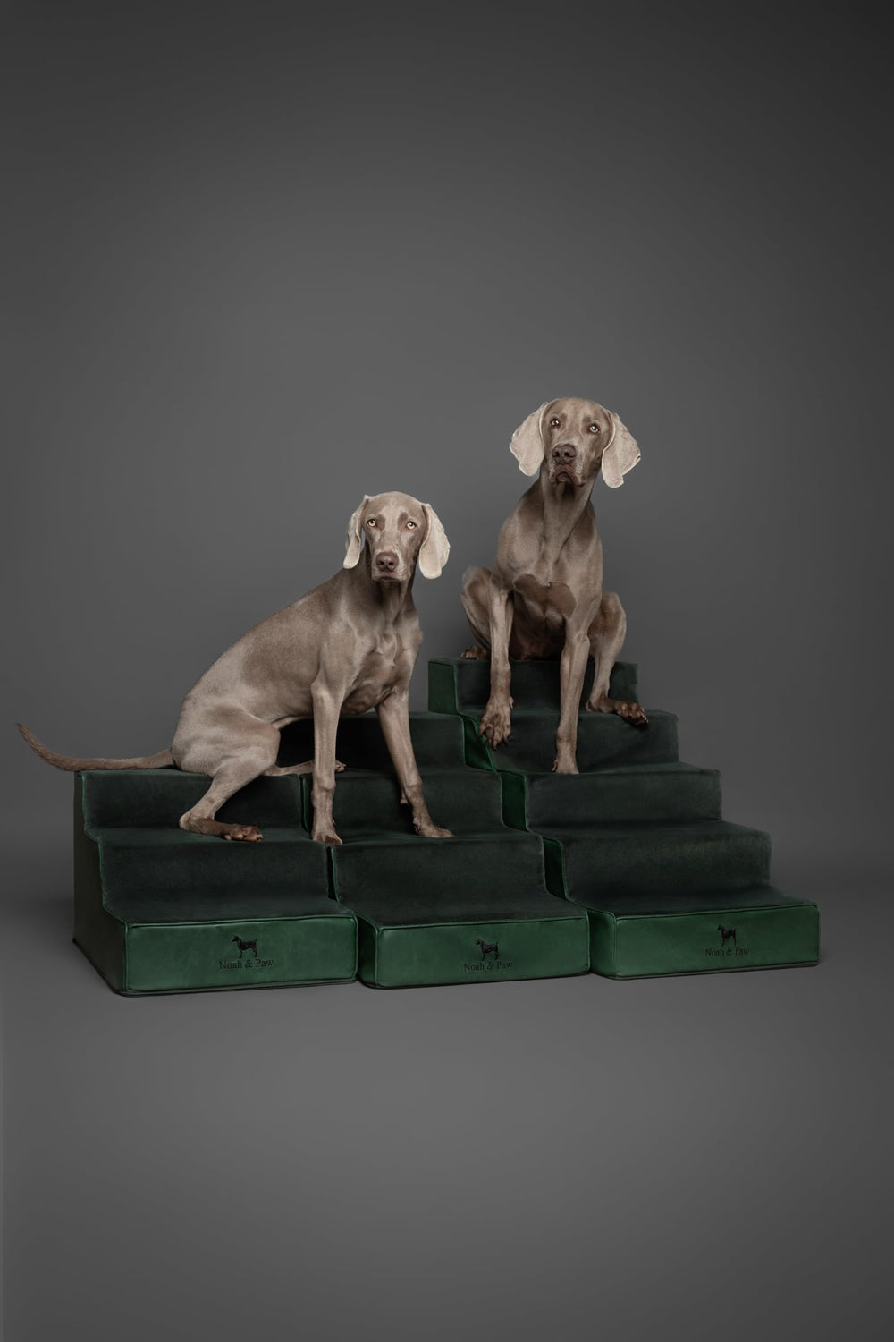 Noah & Paw vegan leather finish blends with home decor.