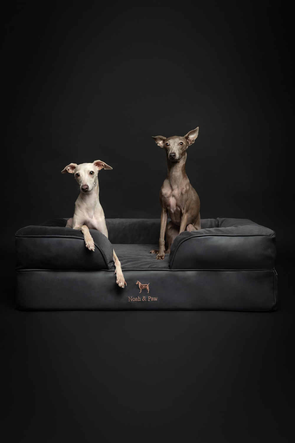 NOAH & PAW egg-shell foam core supports even weight distribution