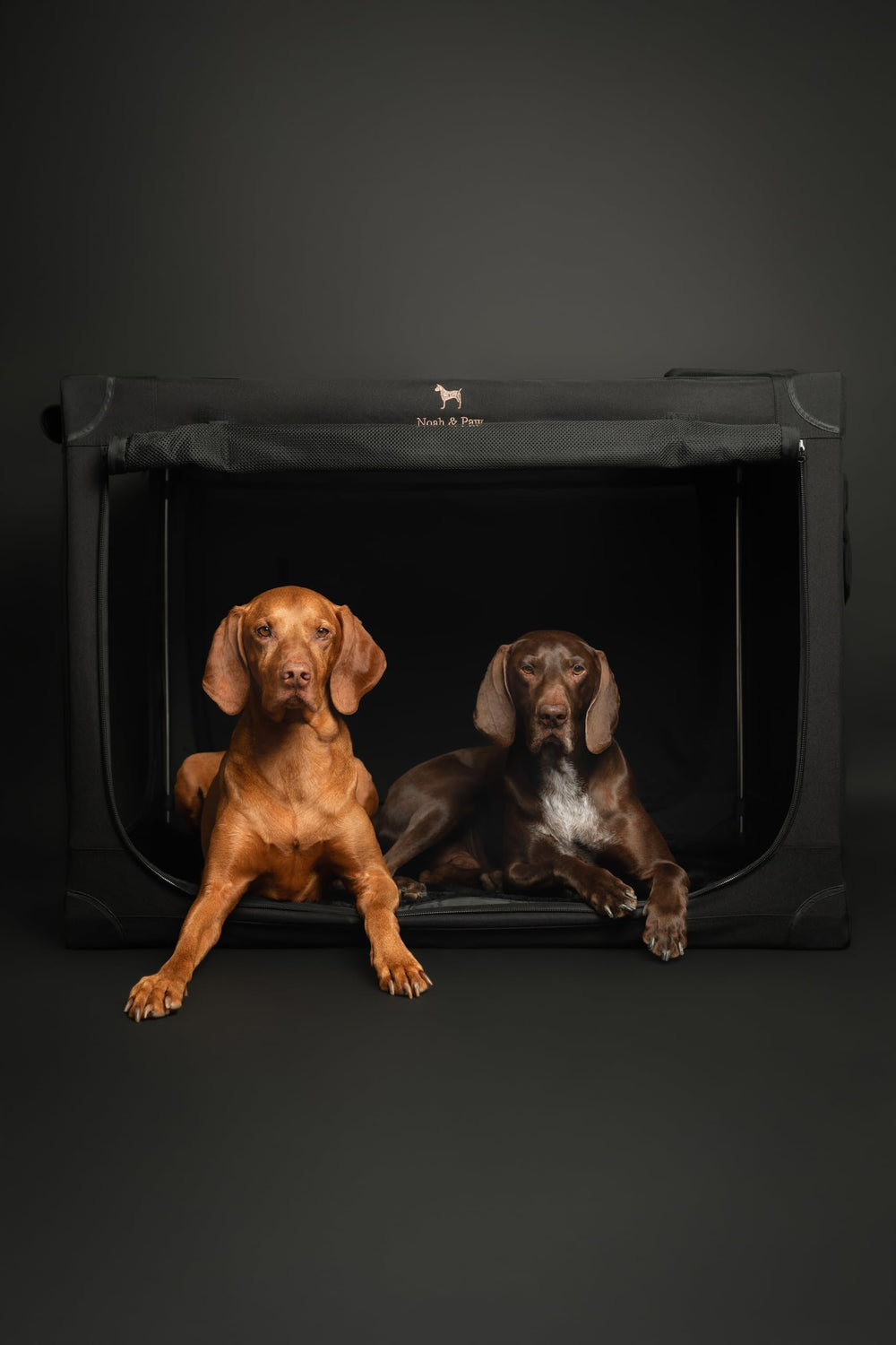 NOAH & PAW crate folded into its storage bag for compact keeping