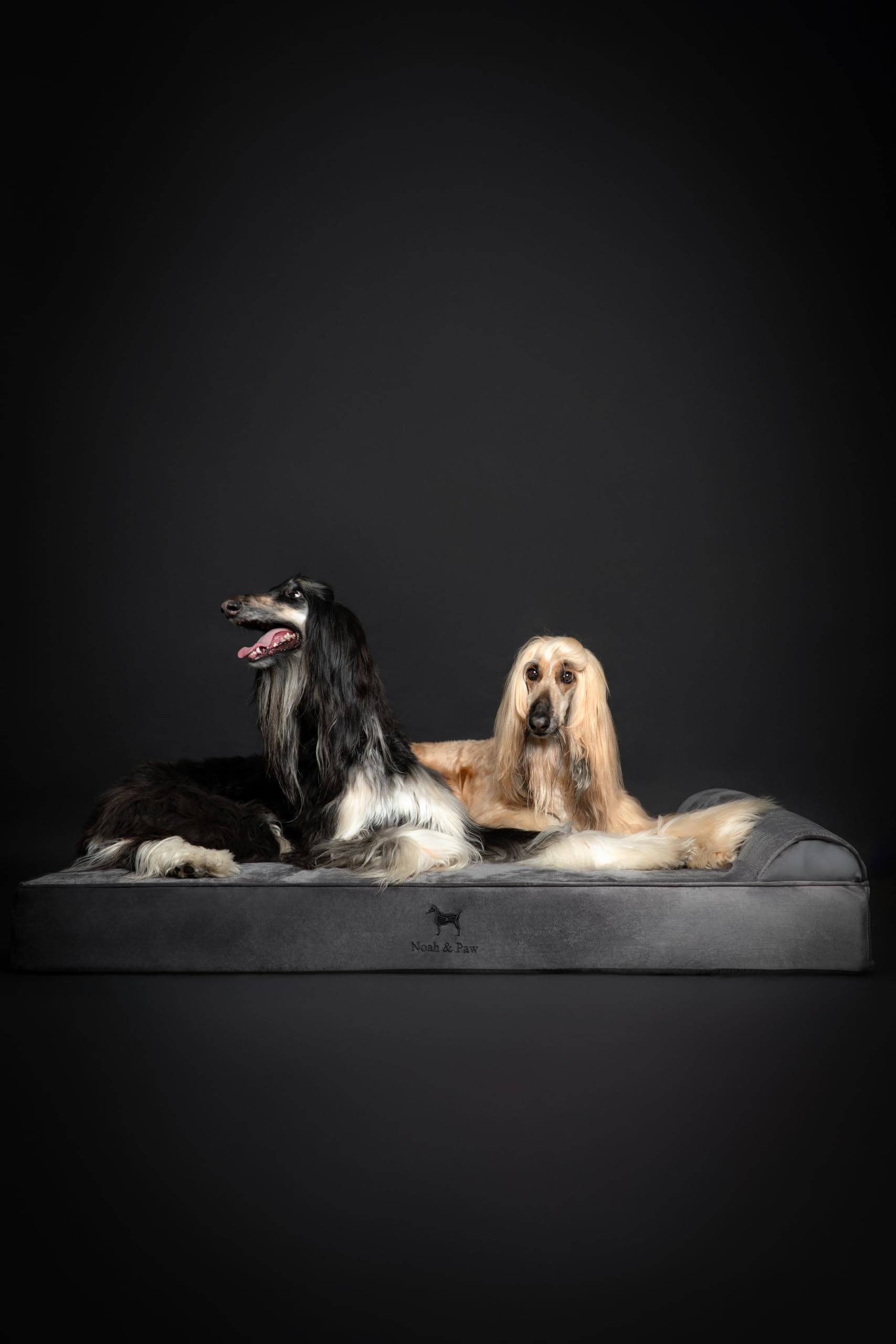 NOAH & PAW oversized bed occupying a spacious room for large breeds