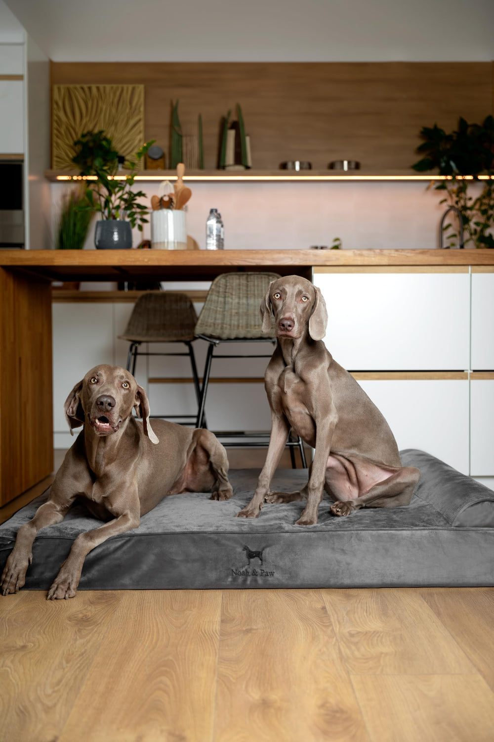 NOAH & PAW memory foam layers close-up with cooling gel for temperature balance