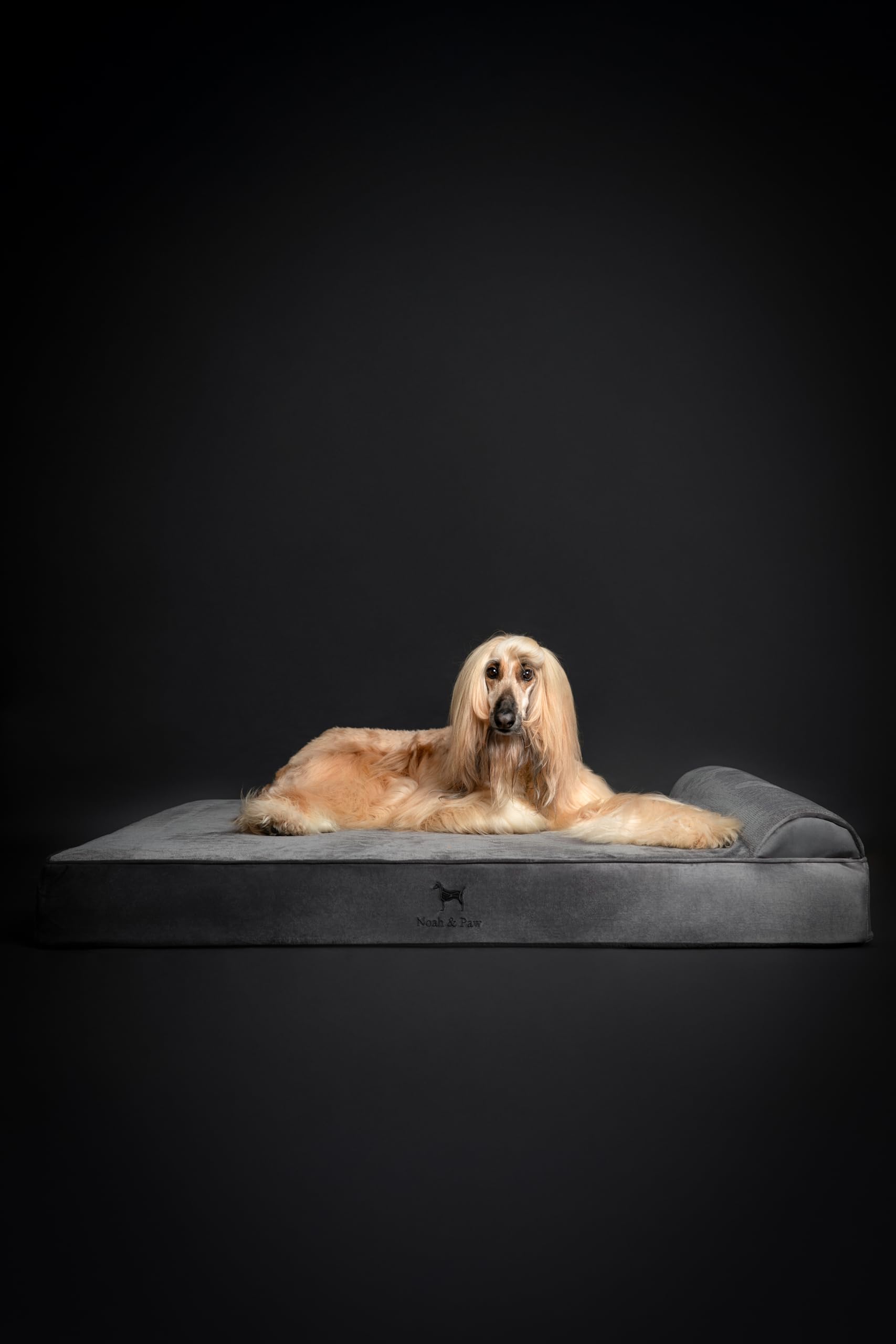 NOAH & PAW foam recovery after unboxing within 24–72 hours