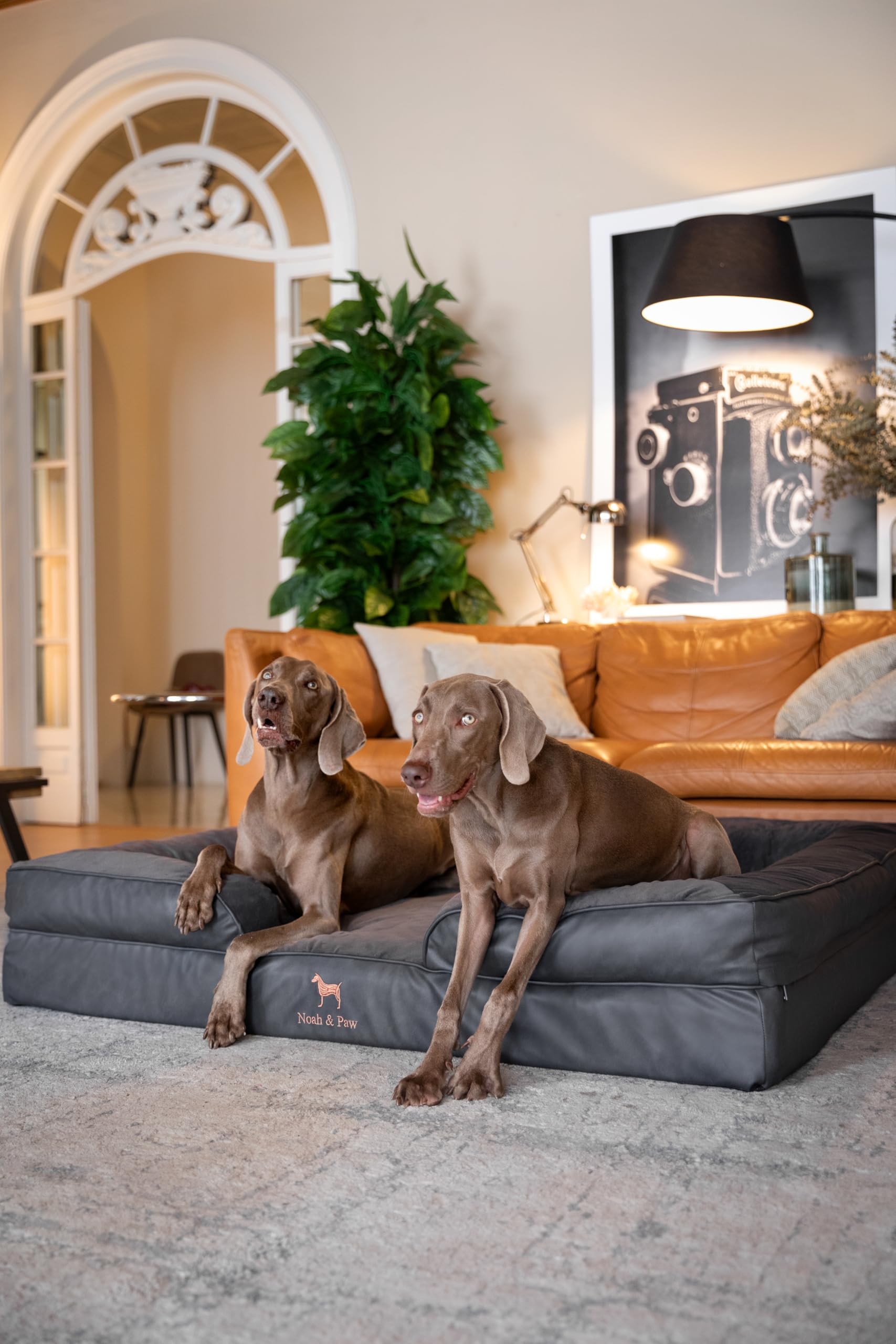 NOAH & PAW giant dog bed inner cover shown to protect foam and layers.