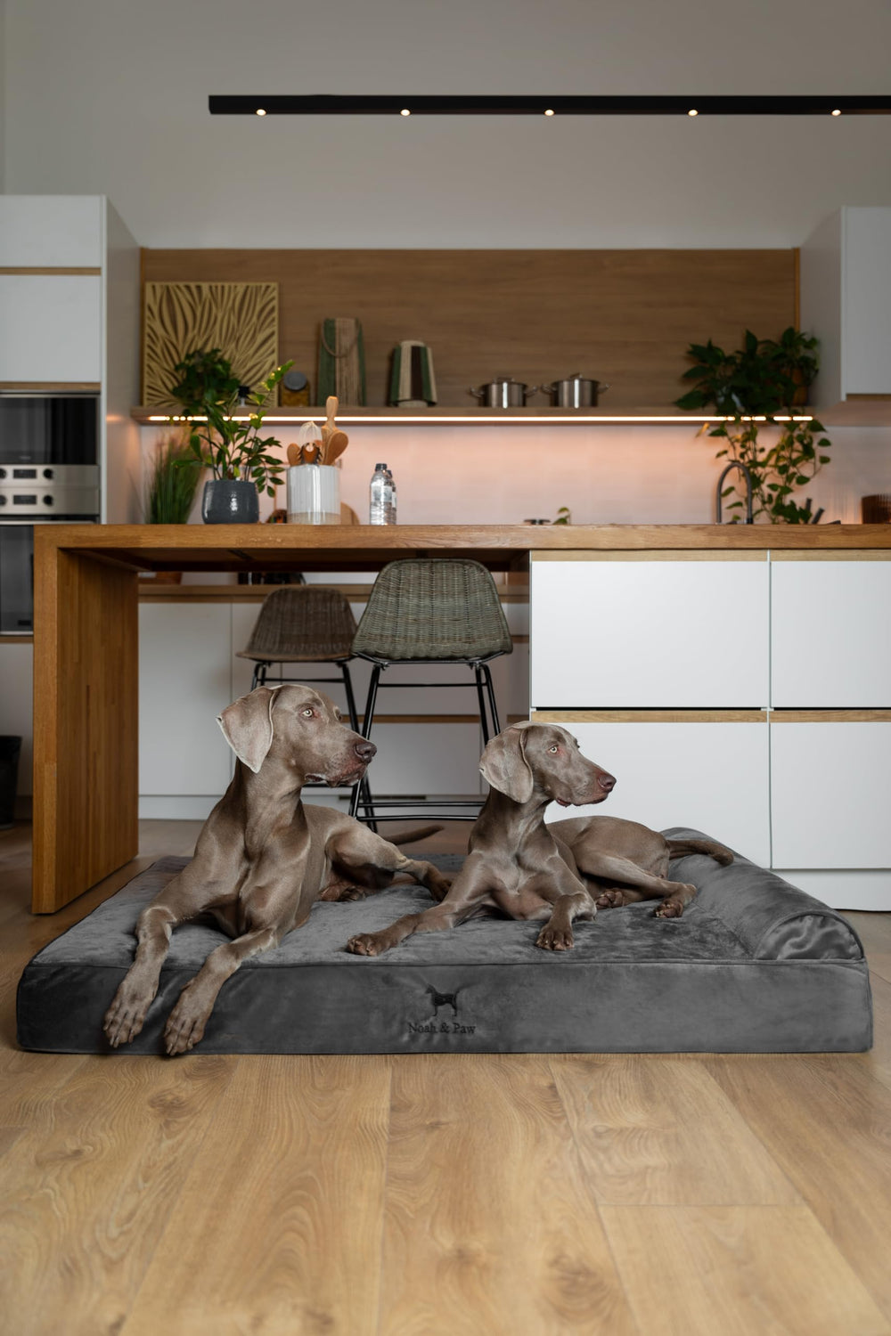 NOAH & PAW two washable covers for easy maintenance