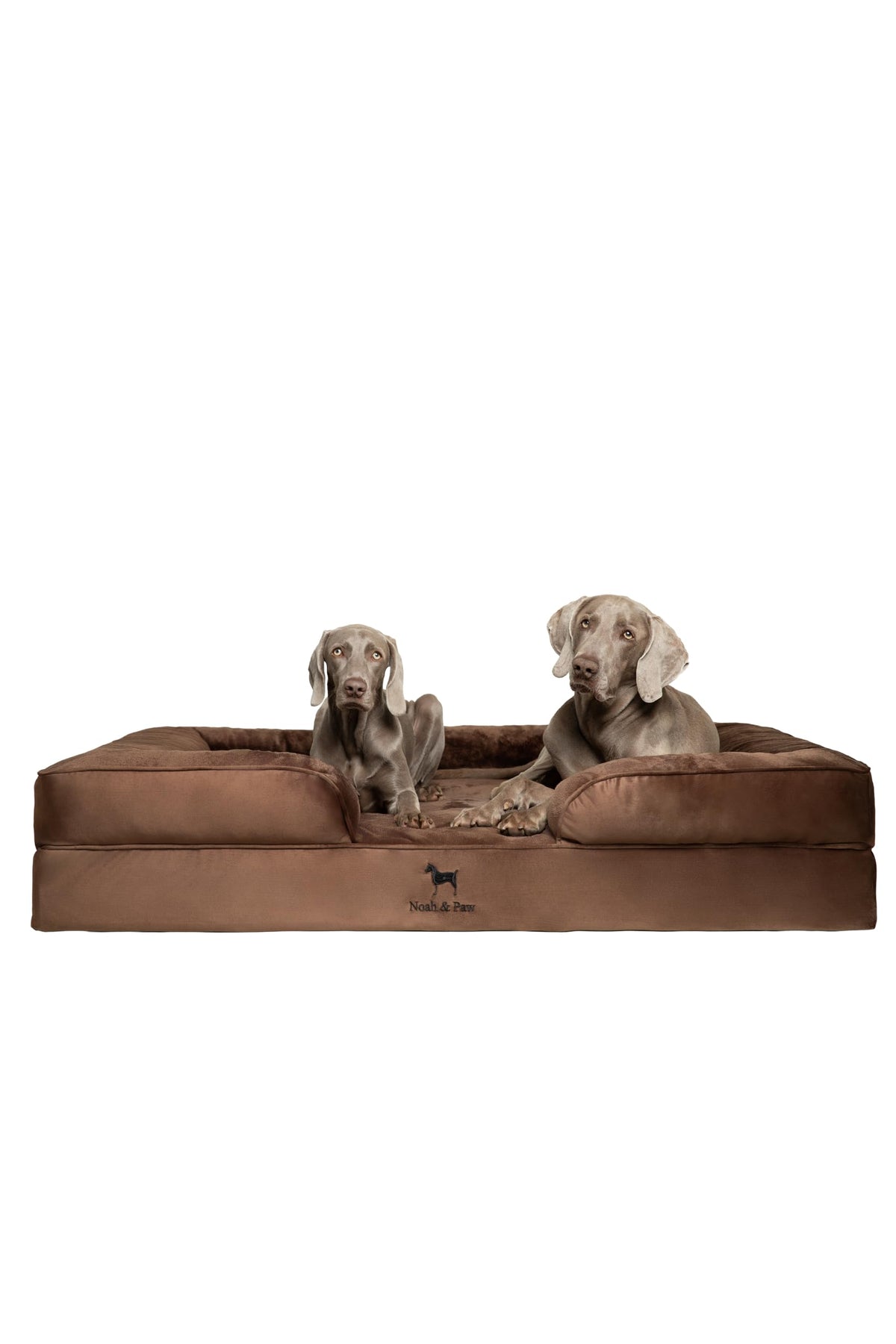 NOAH & PAW Giant Dog Bed XXL offers supportive lounging with memory foam.