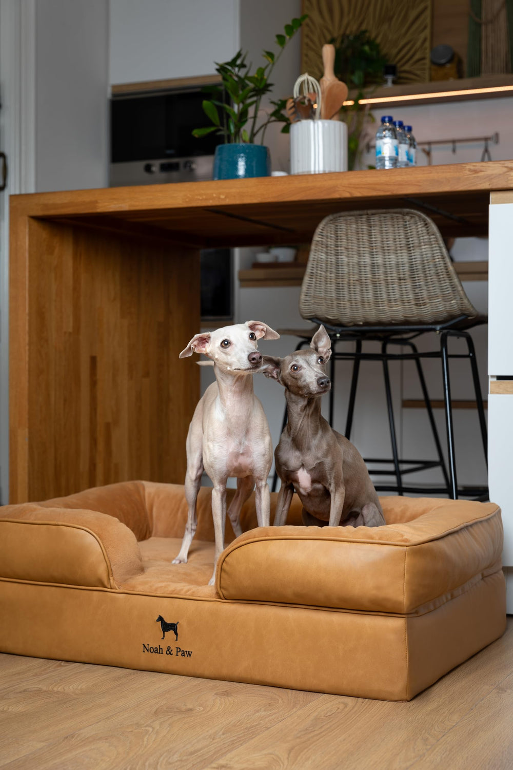 NOAH & PAW large dog bed foam layers close-up shows base, memory foam, and eggshell foam