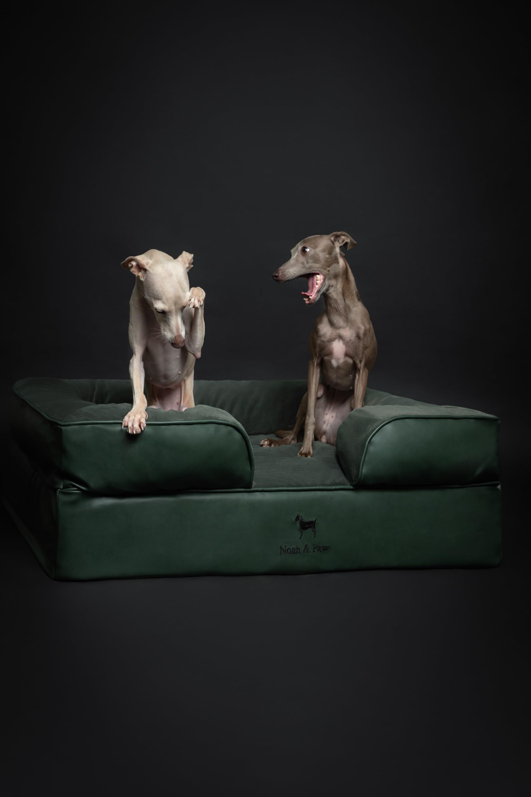 NOAH & PAW machine washable covers for simple cleaning routines.